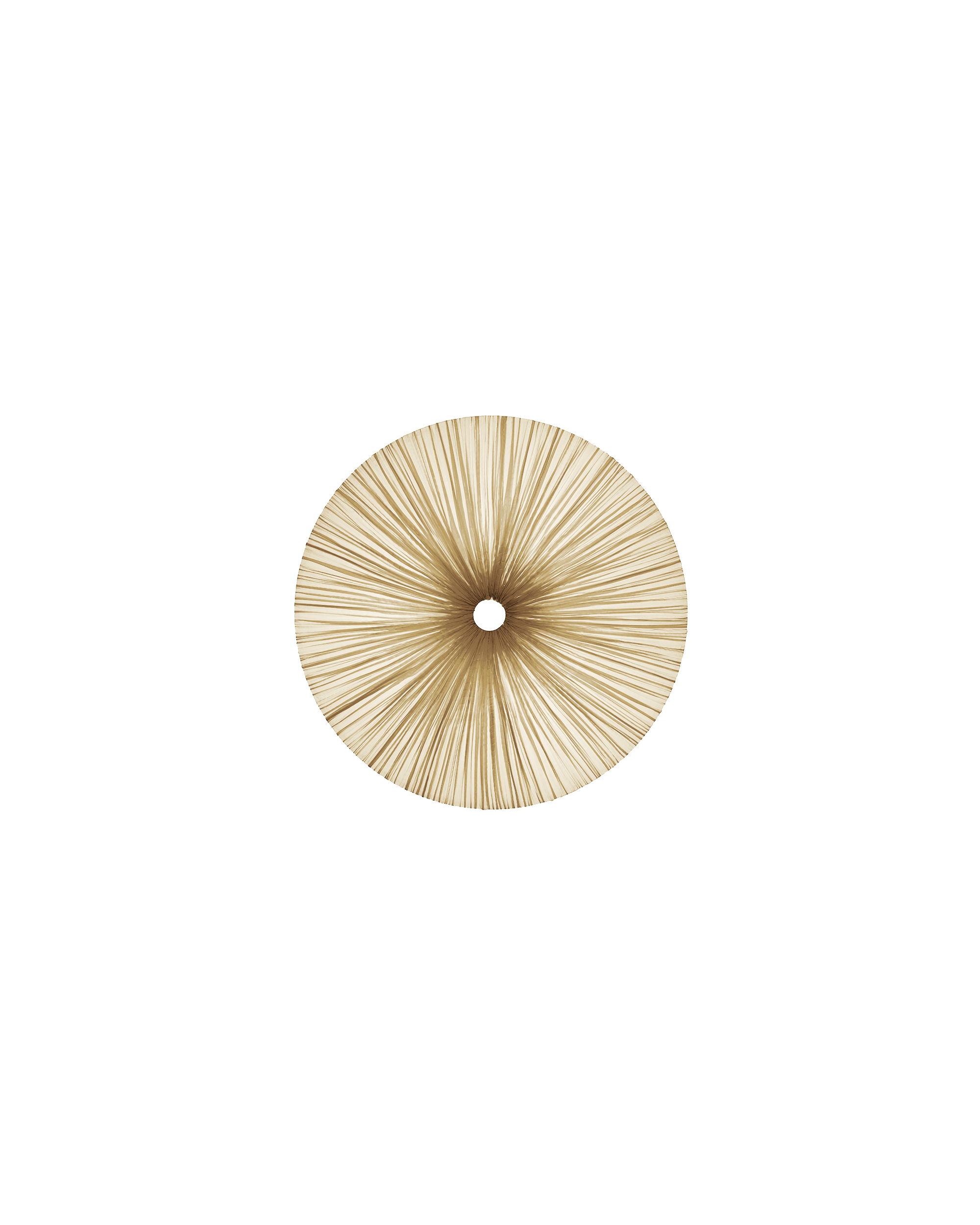Stand By Wall & Ceiling Light
