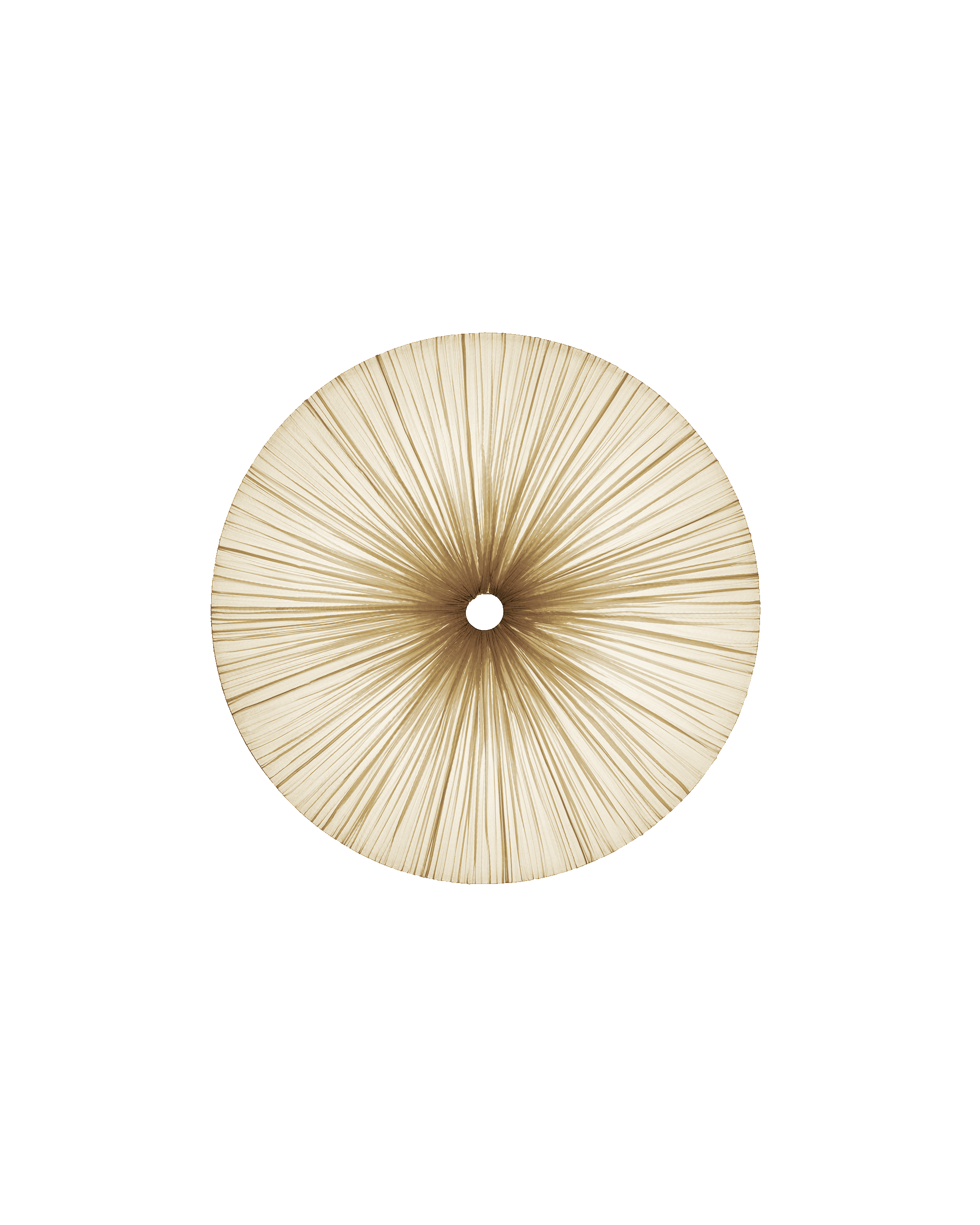 Stand By Wall & Ceiling Light