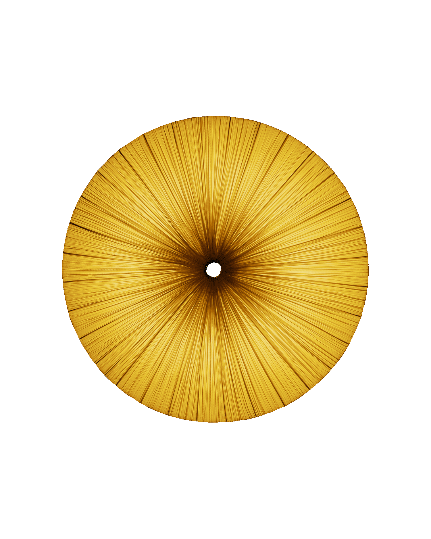 Stand By Wall & Ceiling Light