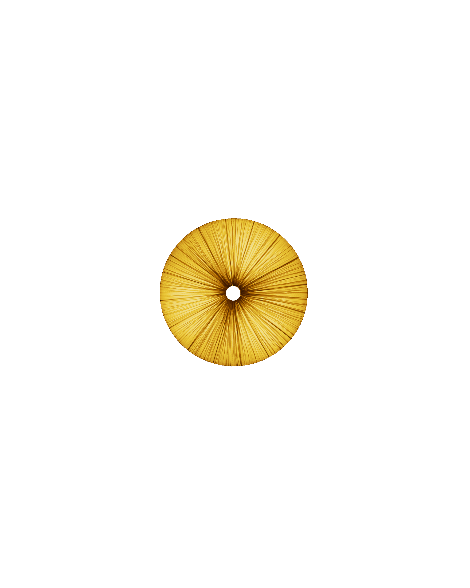 Stand By Wall & Ceiling Light