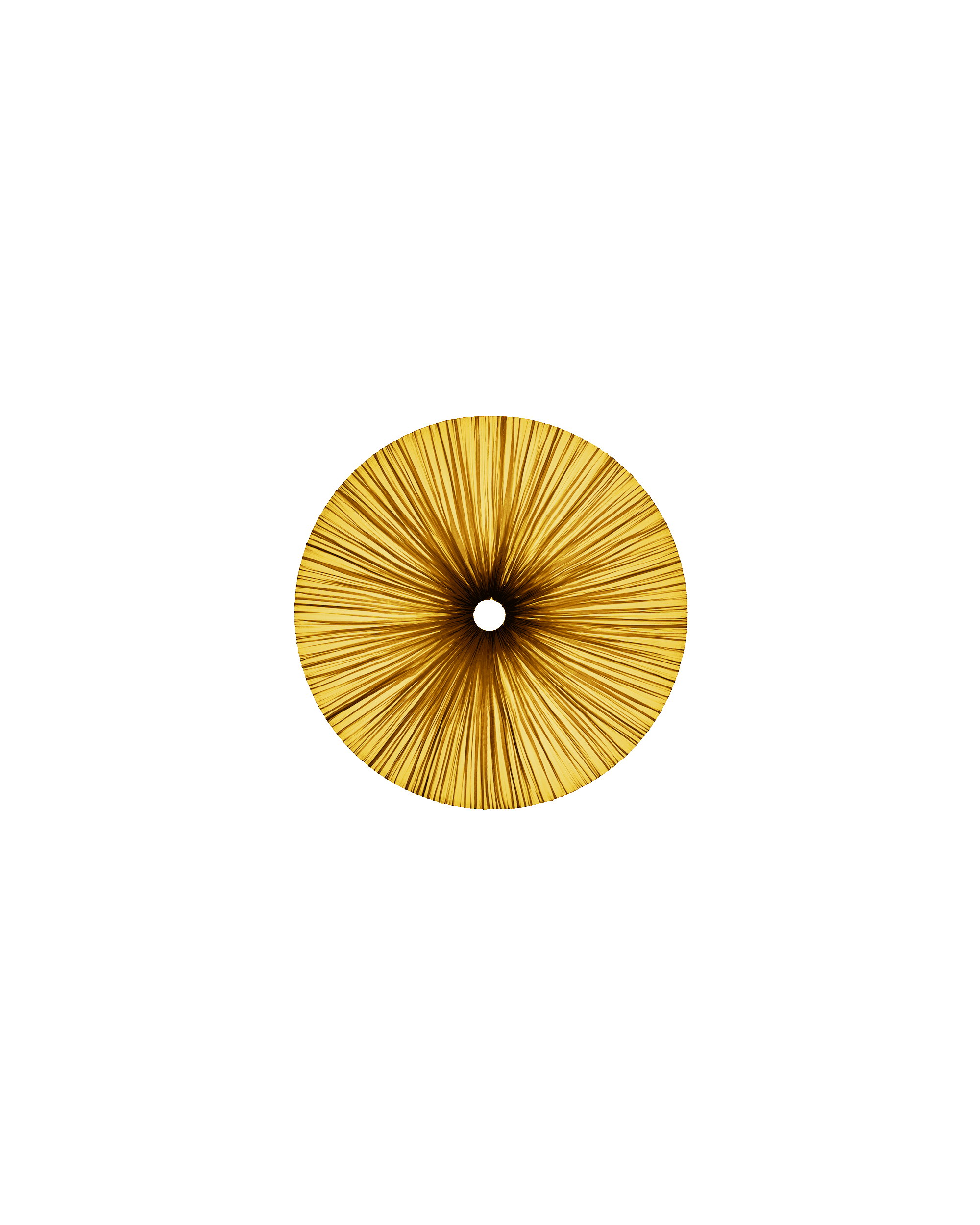 Stand By Wall & Ceiling Light