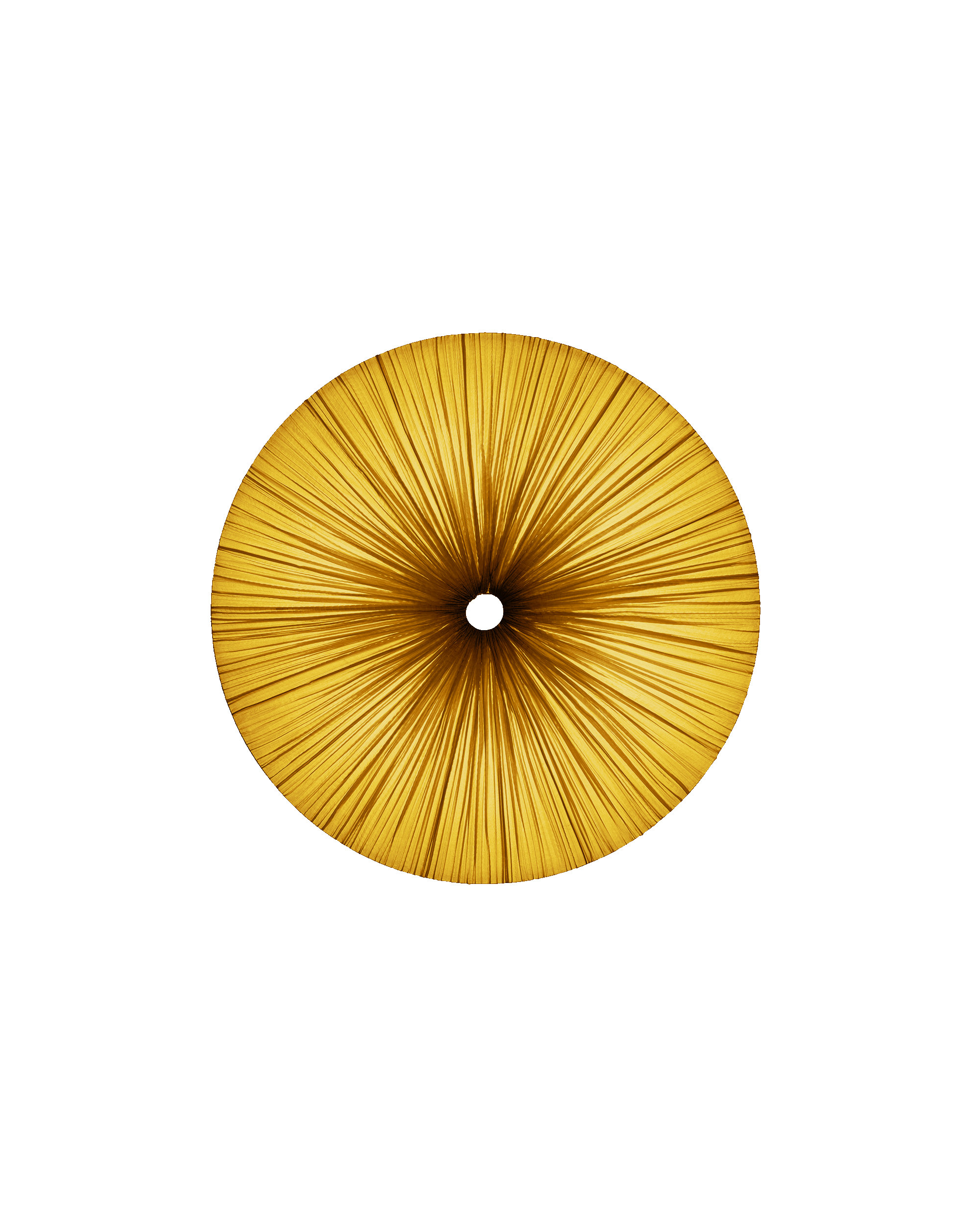 Stand By Wall & Ceiling Light
