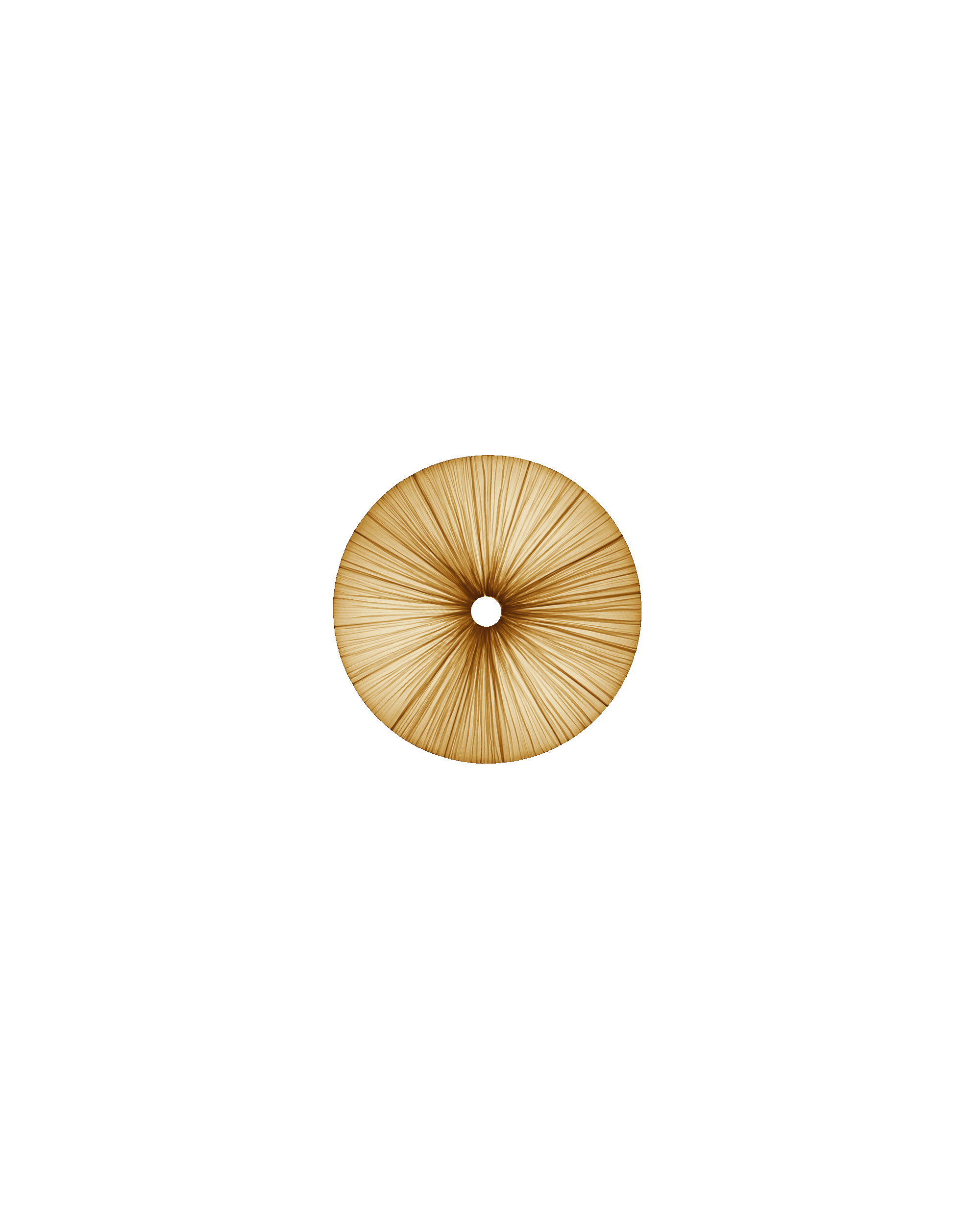 Stand By Wall & Ceiling Light