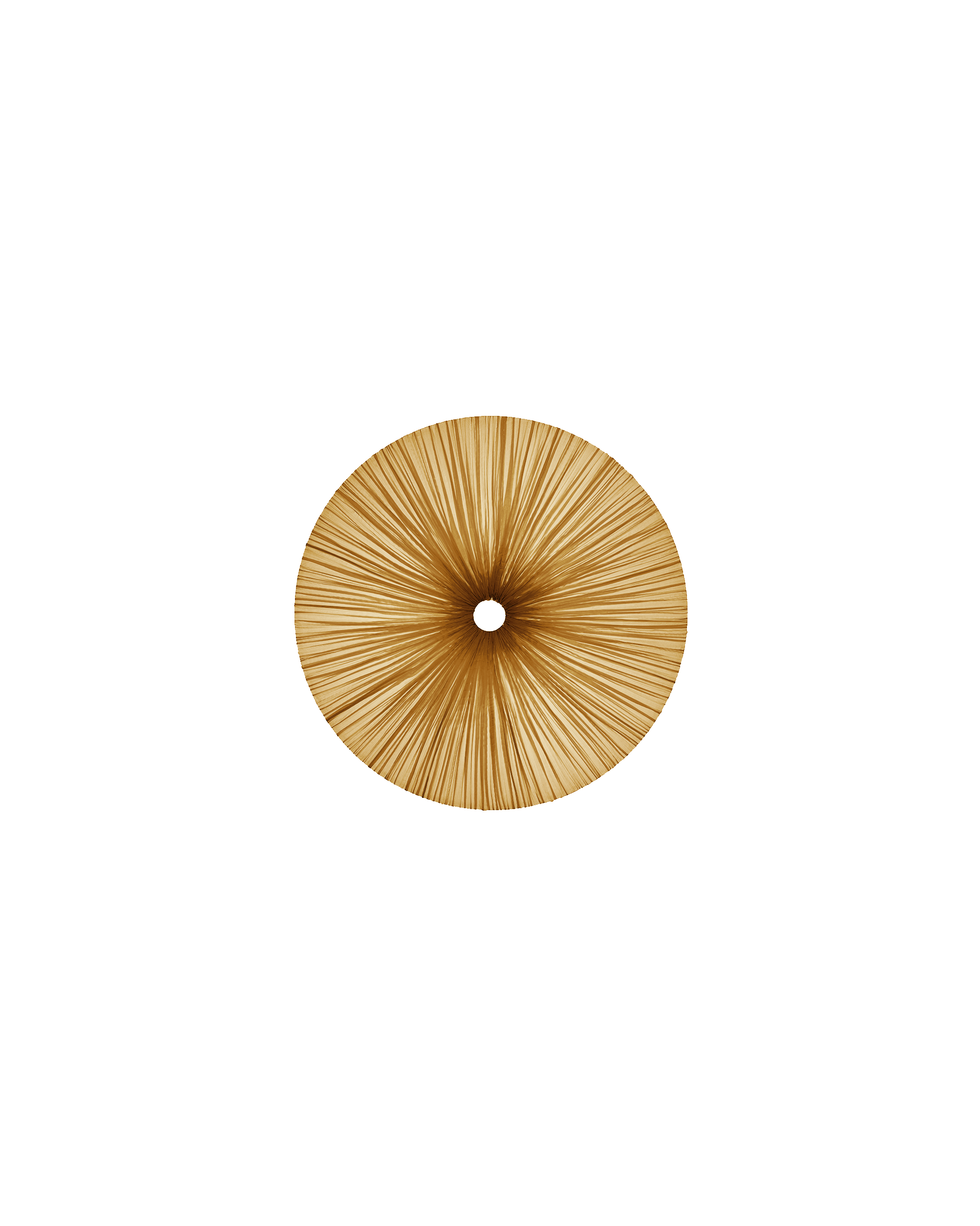 Stand By Wall & Ceiling Light