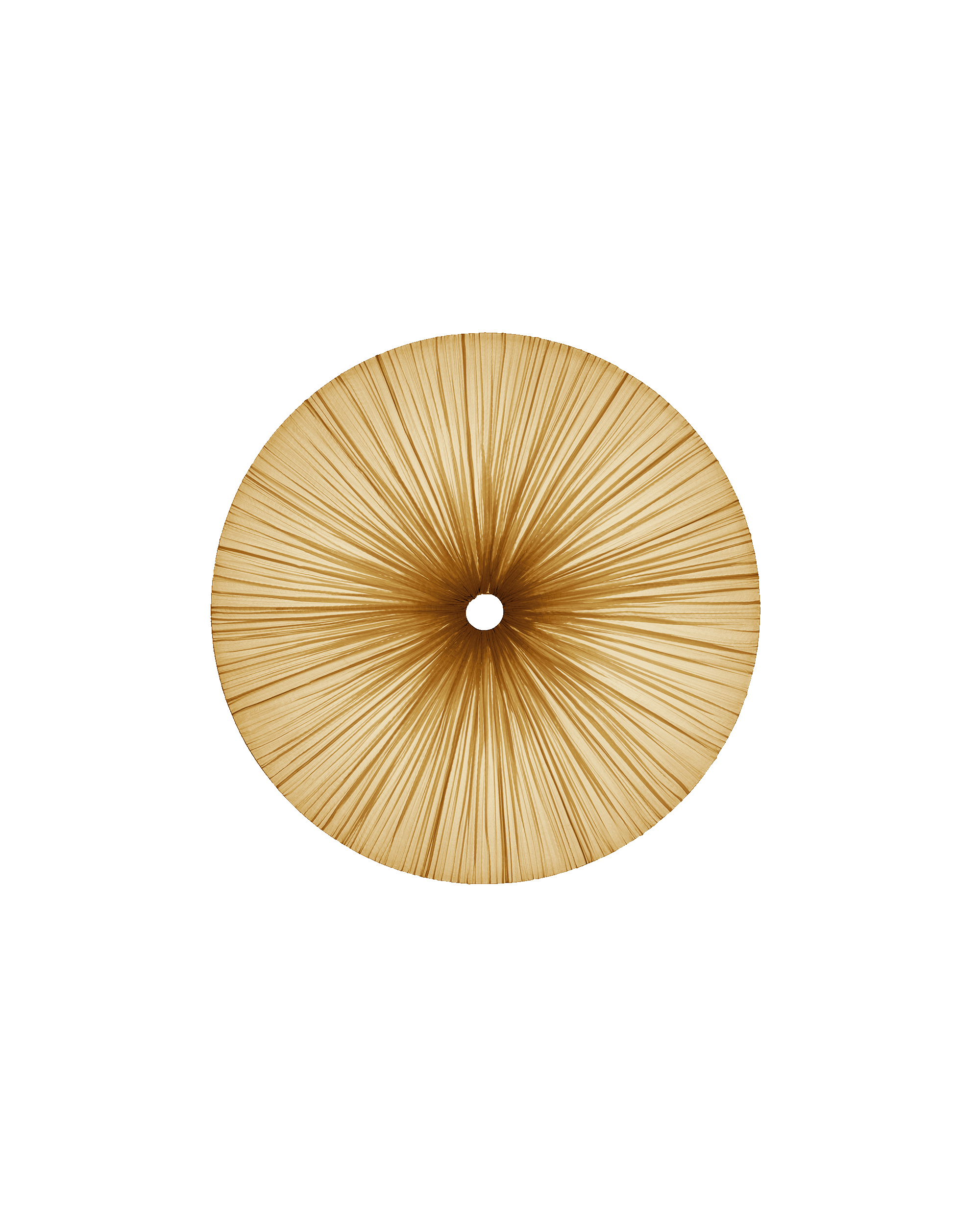 Stand By Wall & Ceiling Light