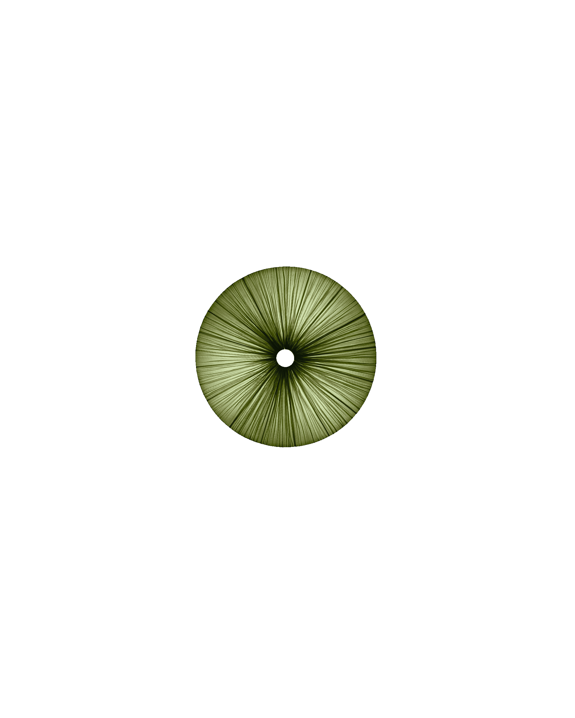 Stand By Wall & Ceiling Light