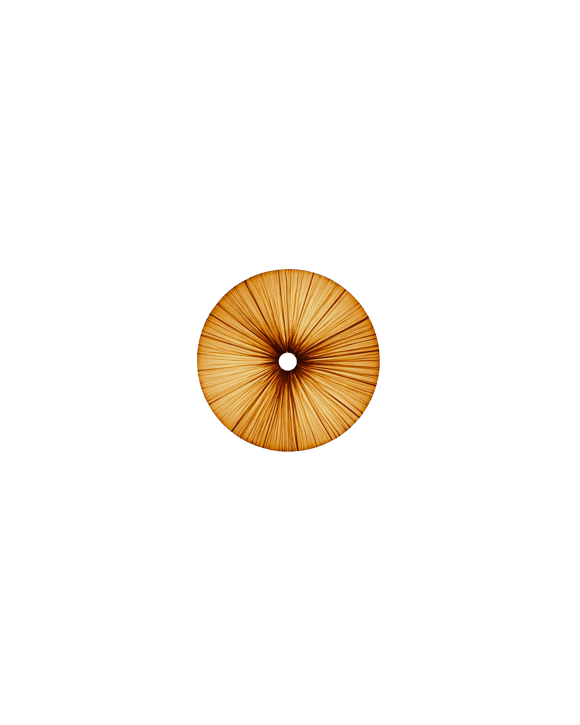 Stand By Wall & Ceiling Light