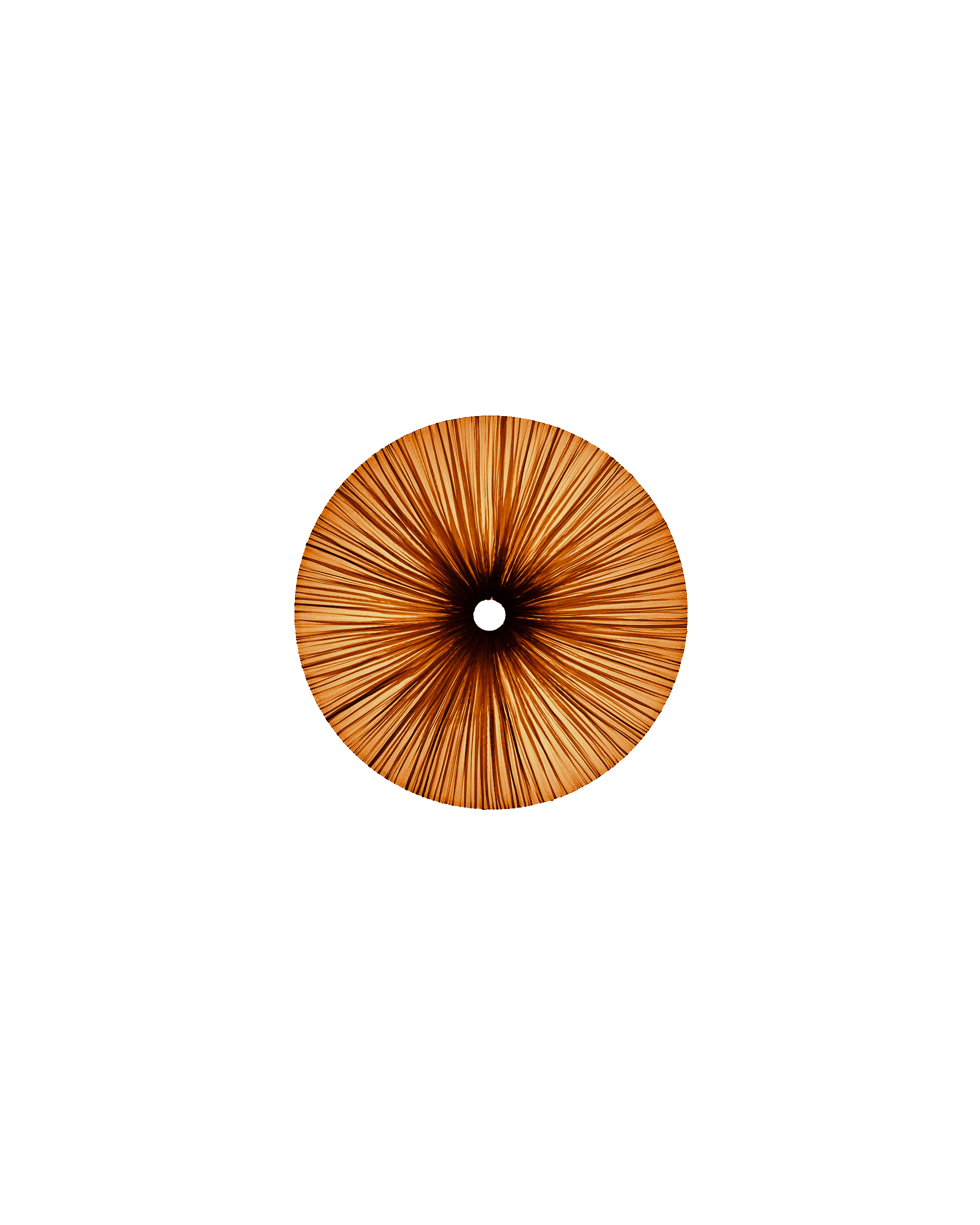 Stand By Wall & Ceiling Light