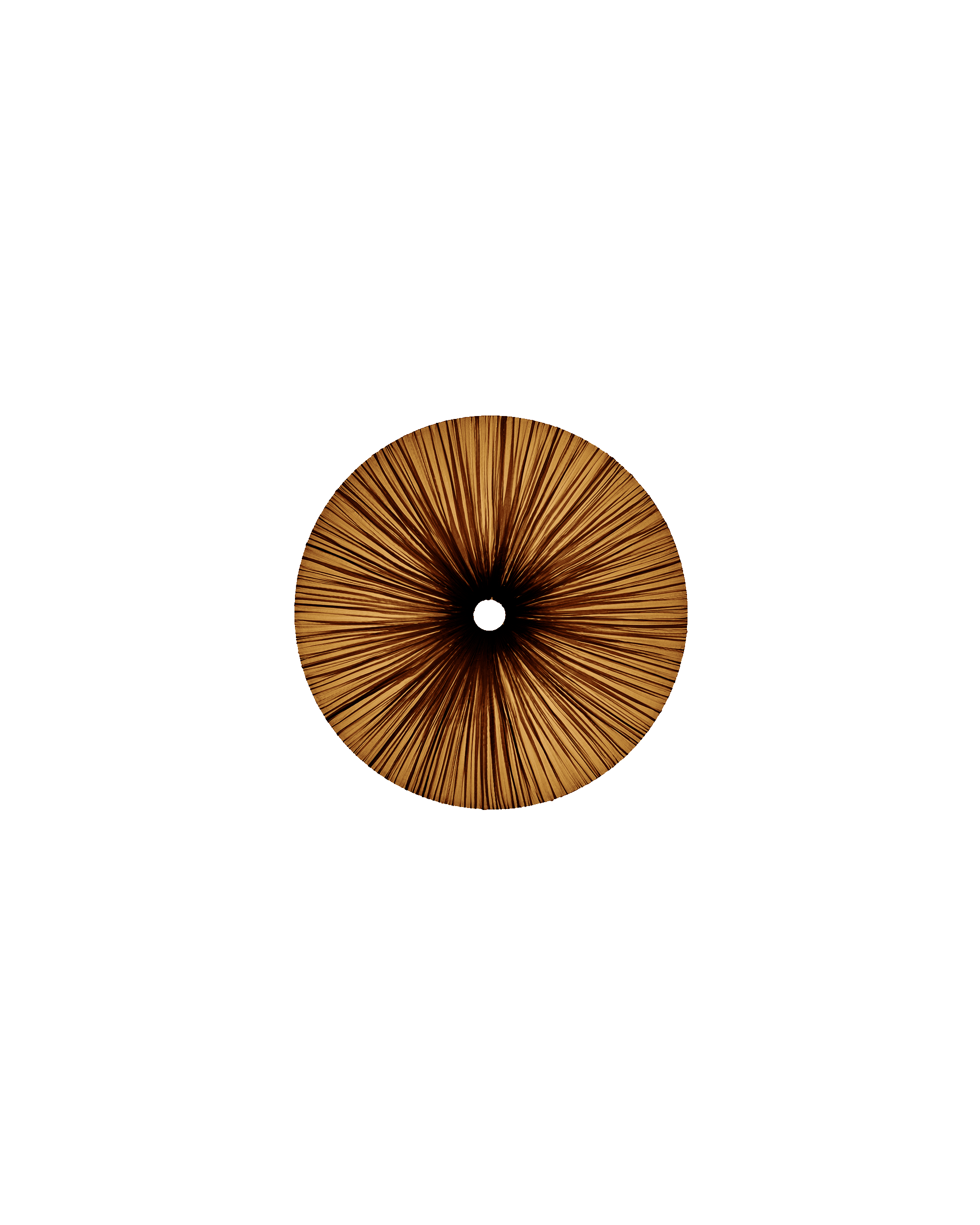 Stand By Wall & Ceiling Light