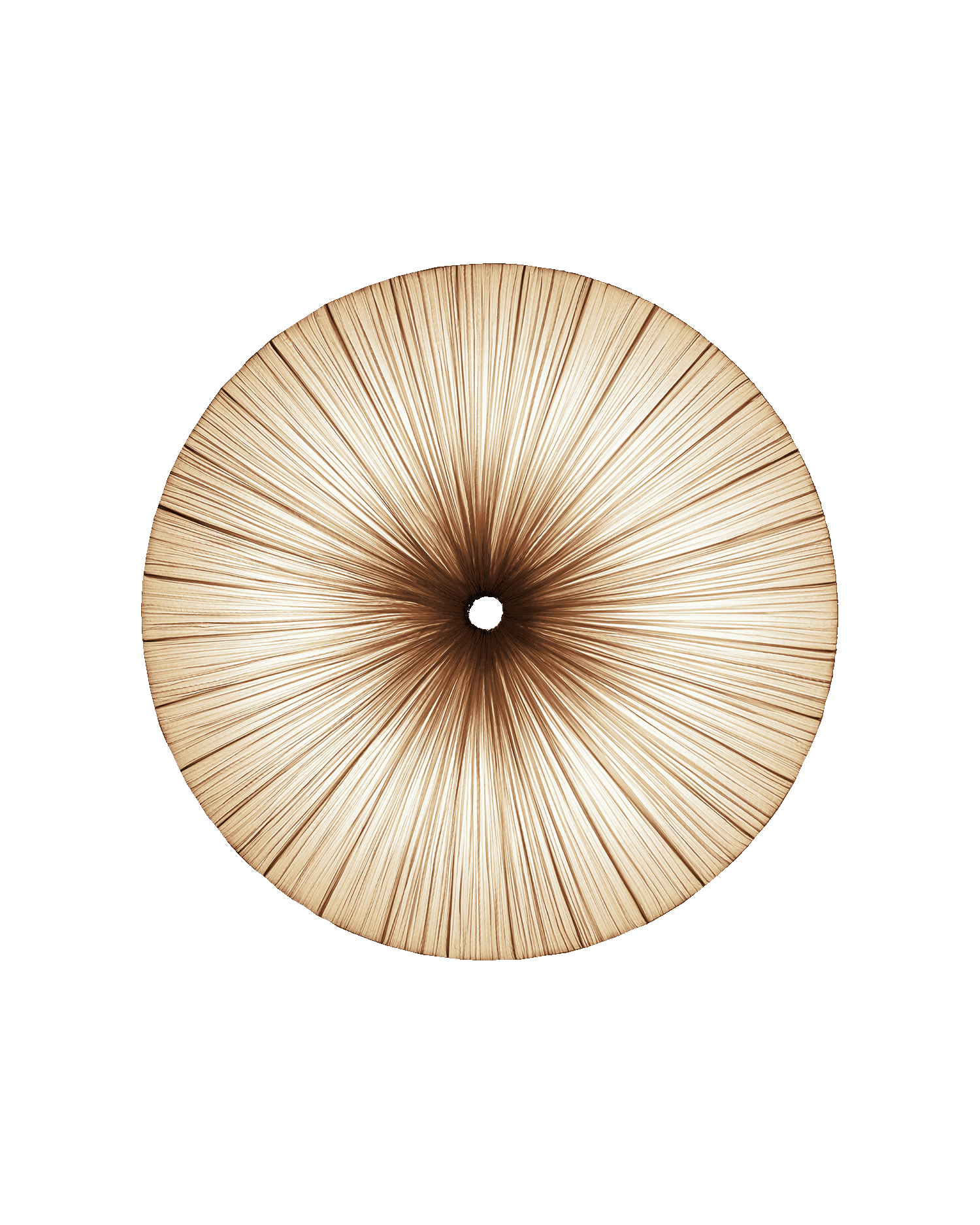Stand By Wall & Ceiling Light