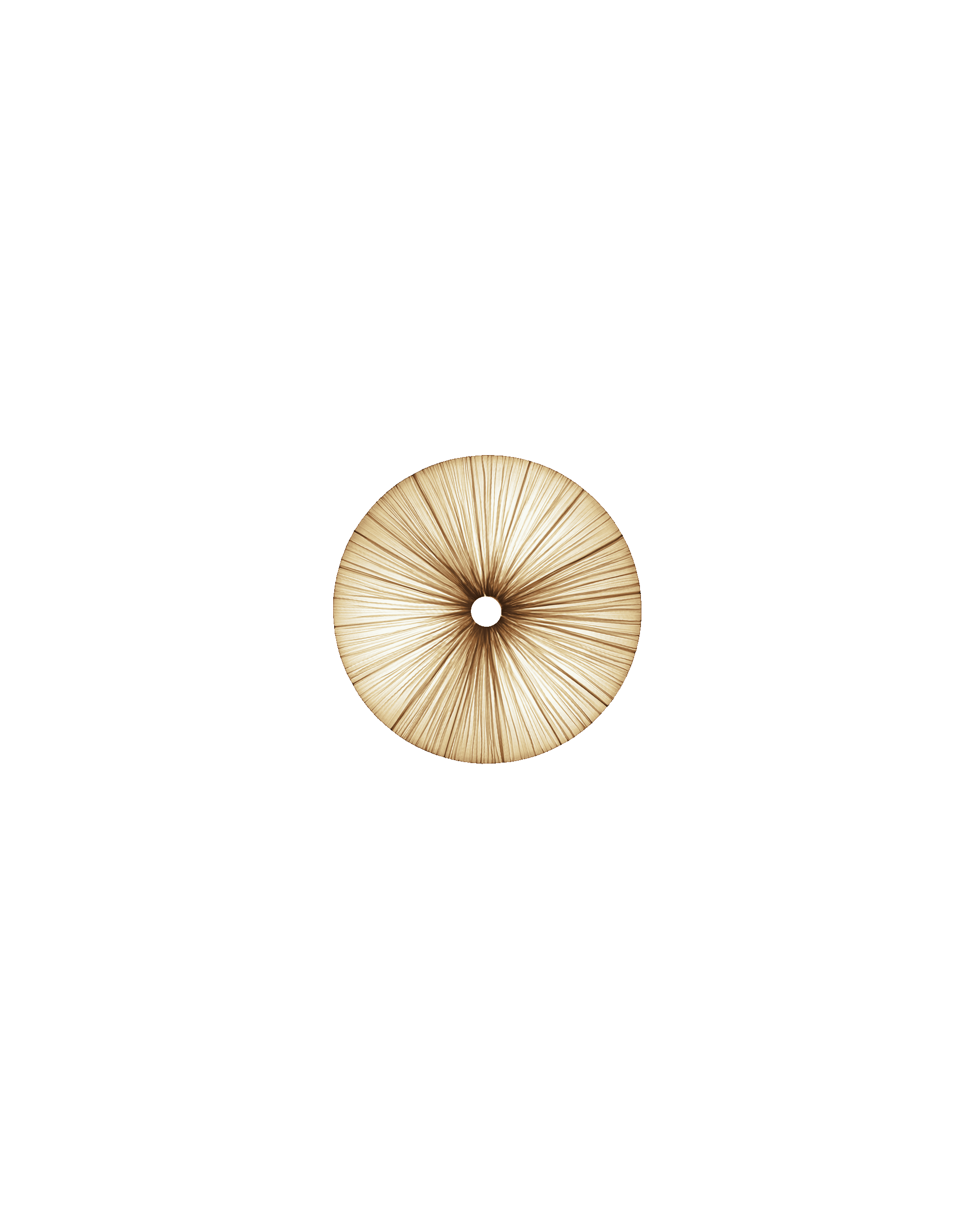 Stand By Wall & Ceiling Light