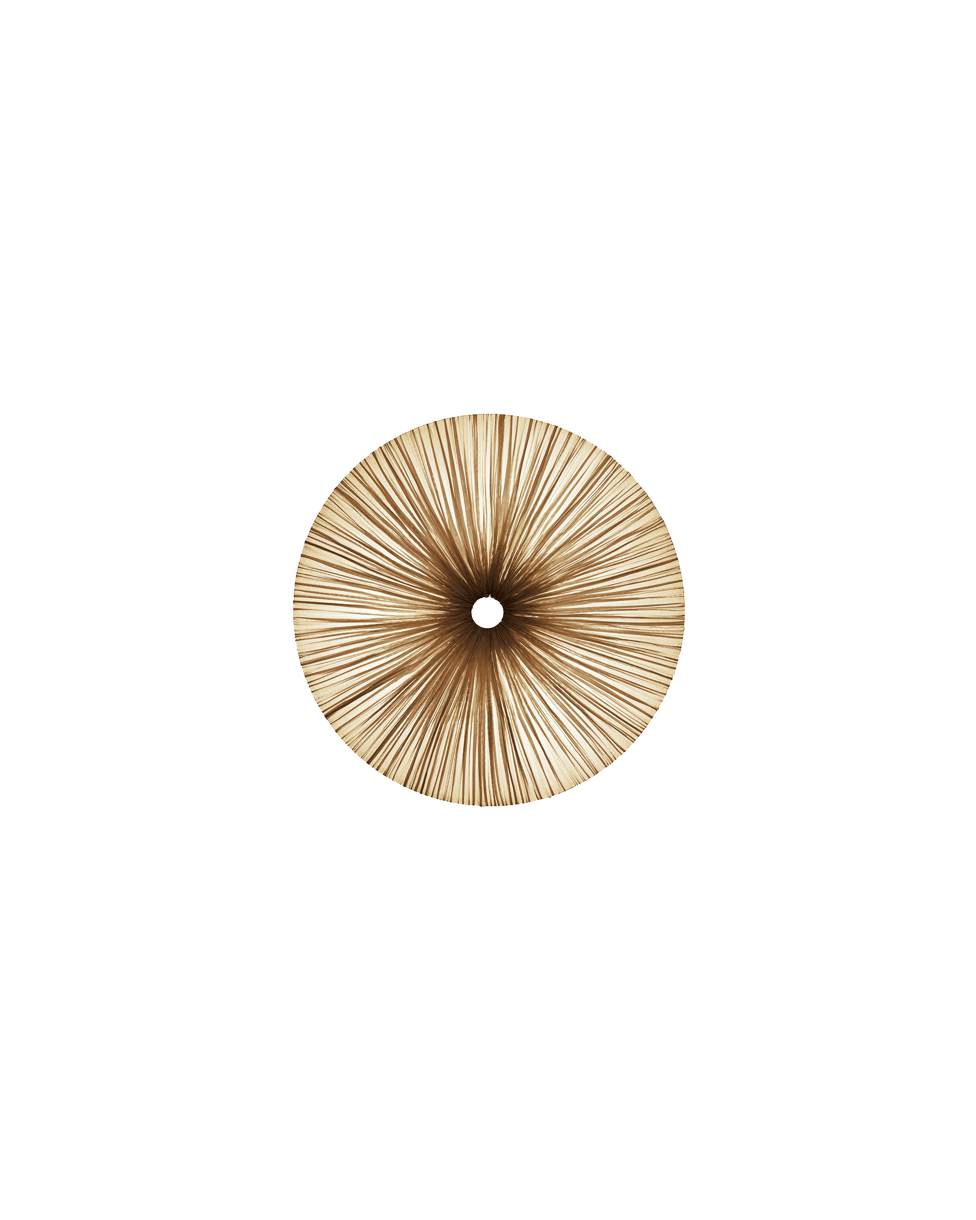 Stand By Wall & Ceiling Light
