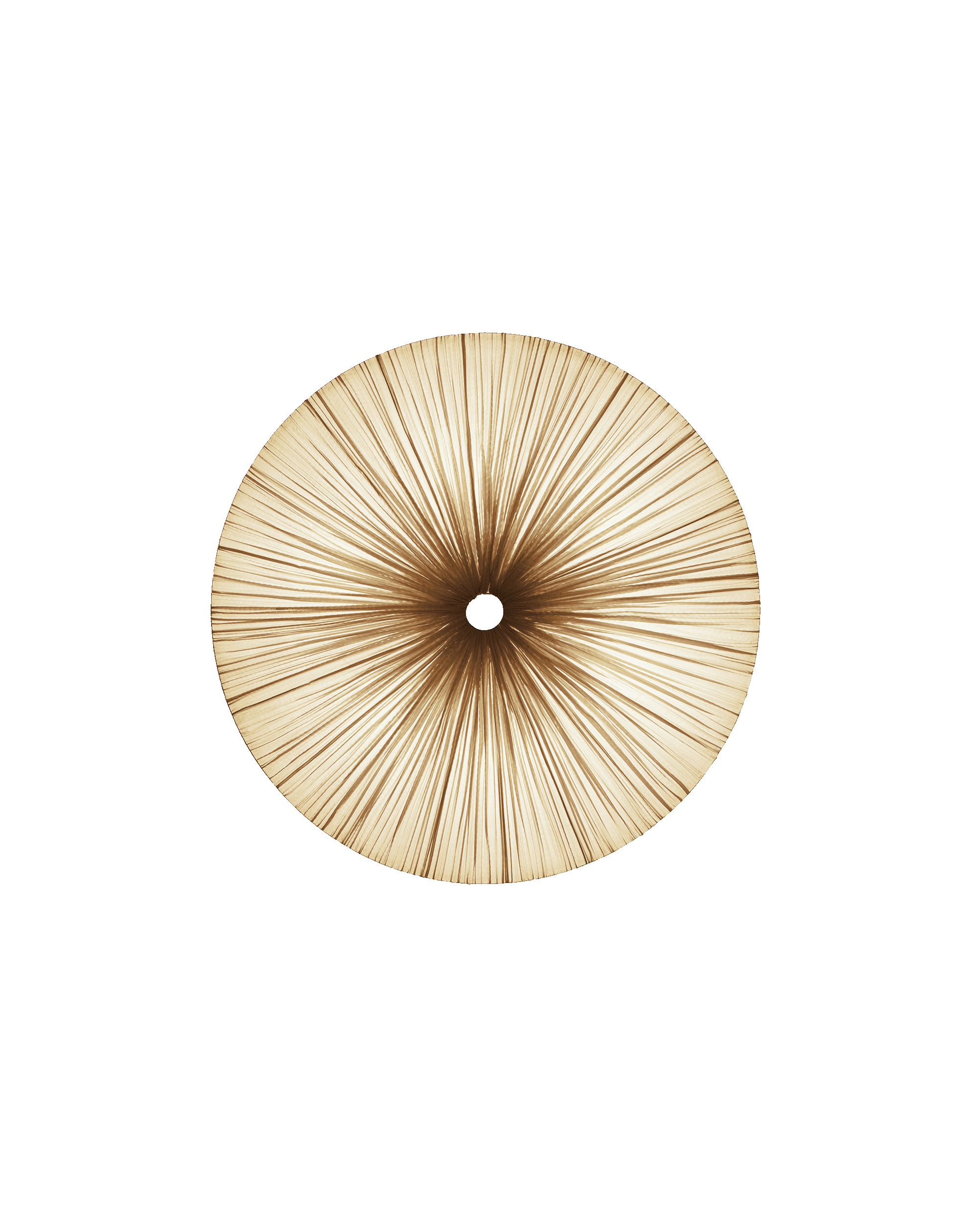 Stand By Wall & Ceiling Light