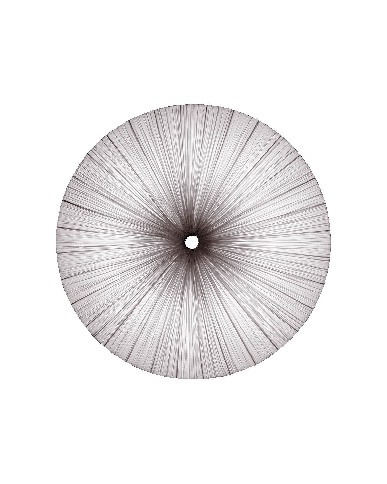 Stand By Wall & Ceiling Light