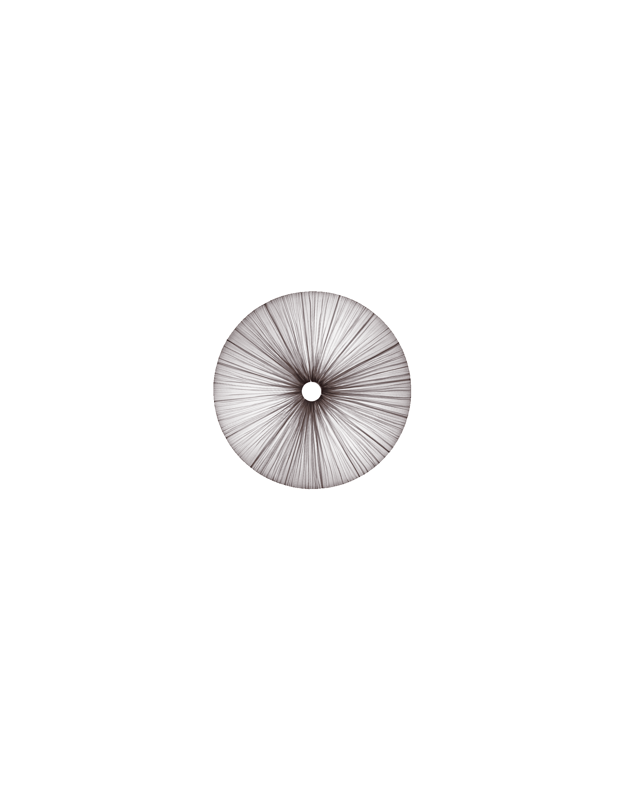 Stand By Wall & Ceiling Light