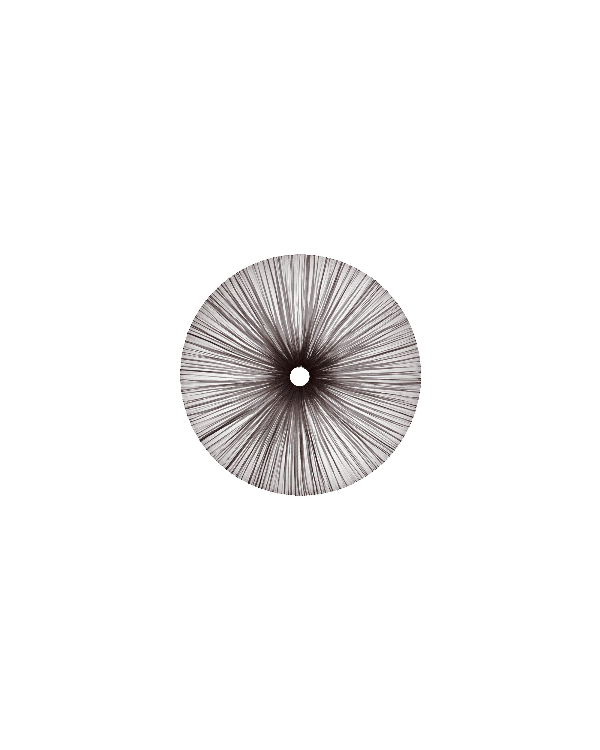 Stand By Wall & Ceiling Light