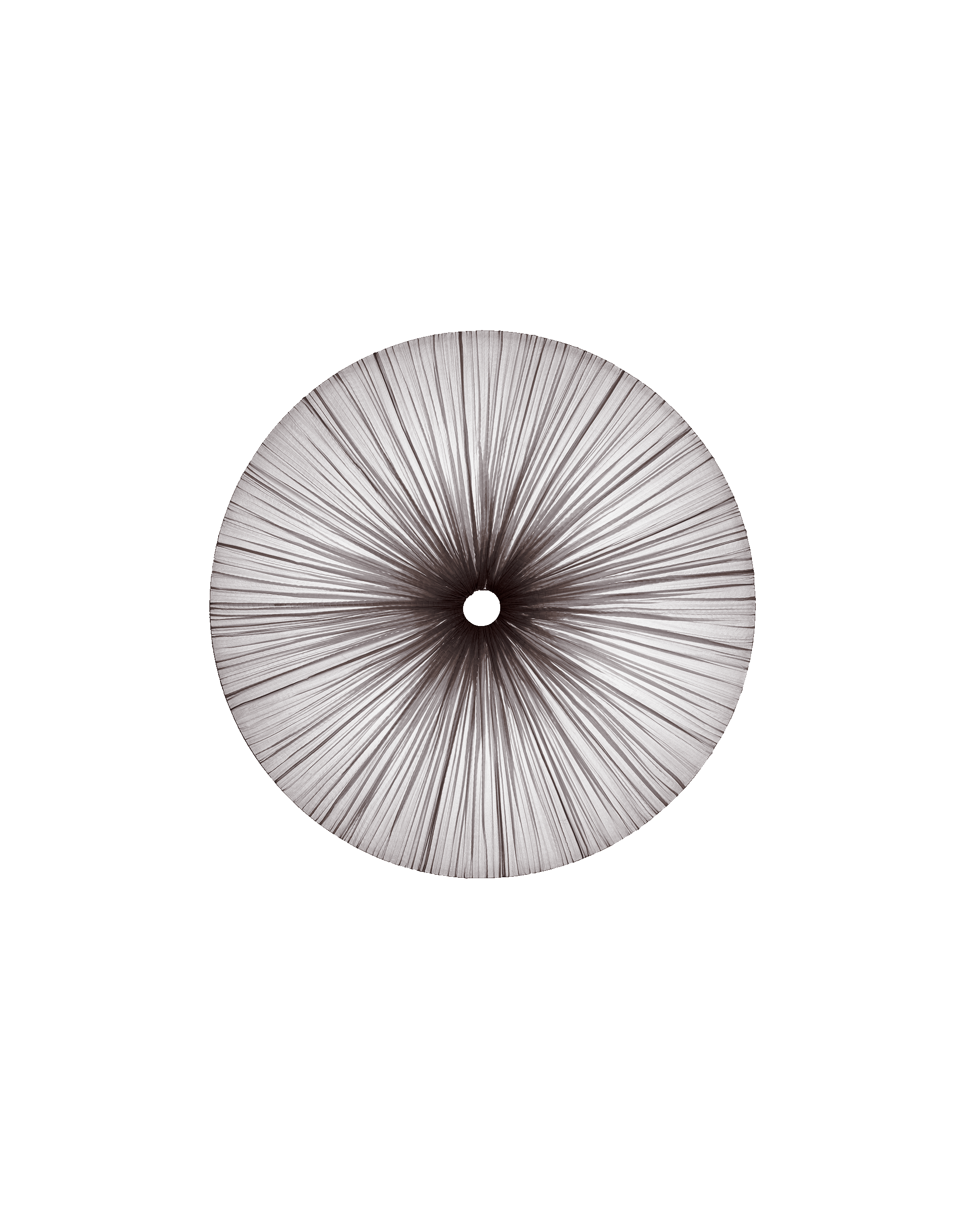 Stand By Wall & Ceiling Light