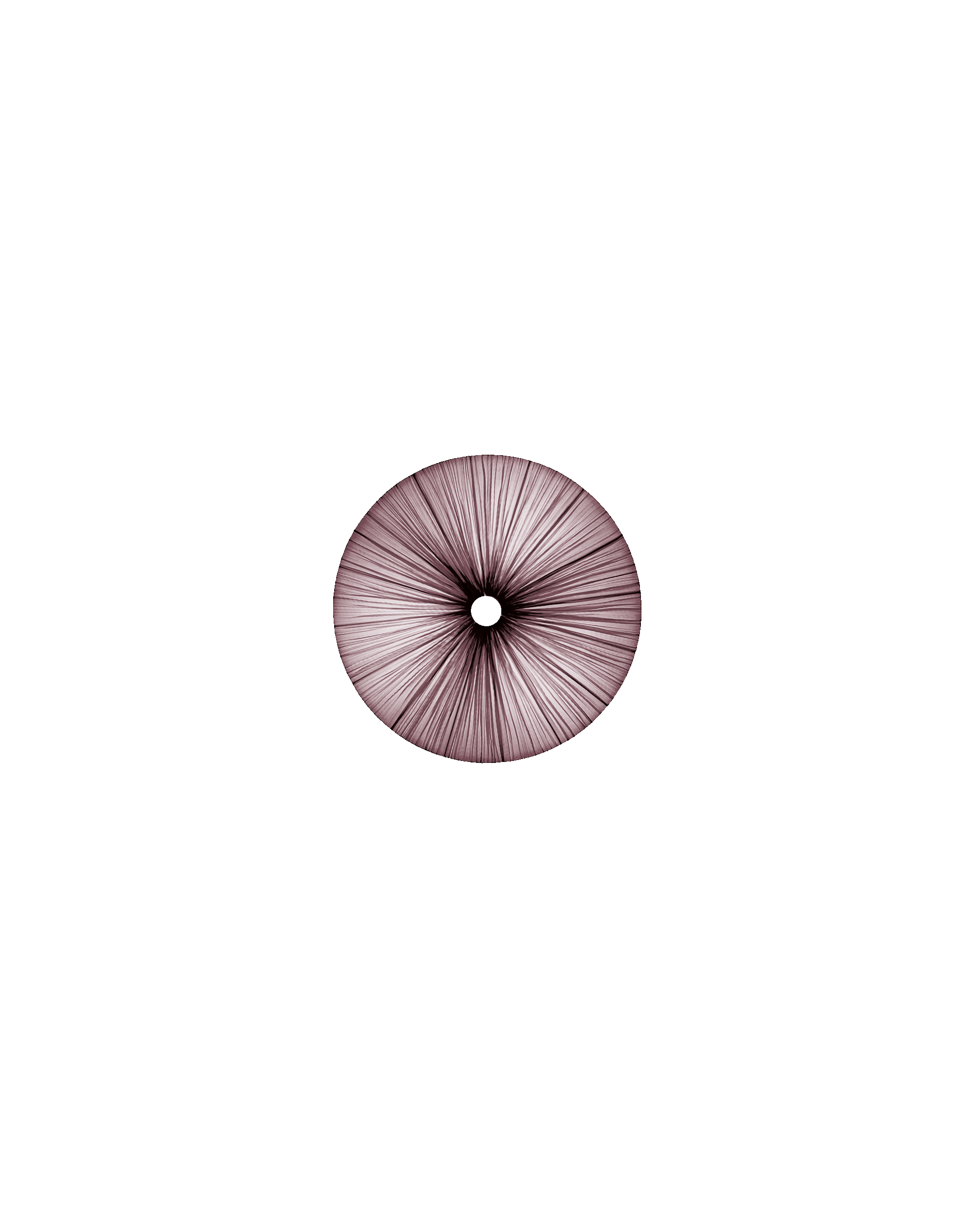 Stand By Wall & Ceiling Light