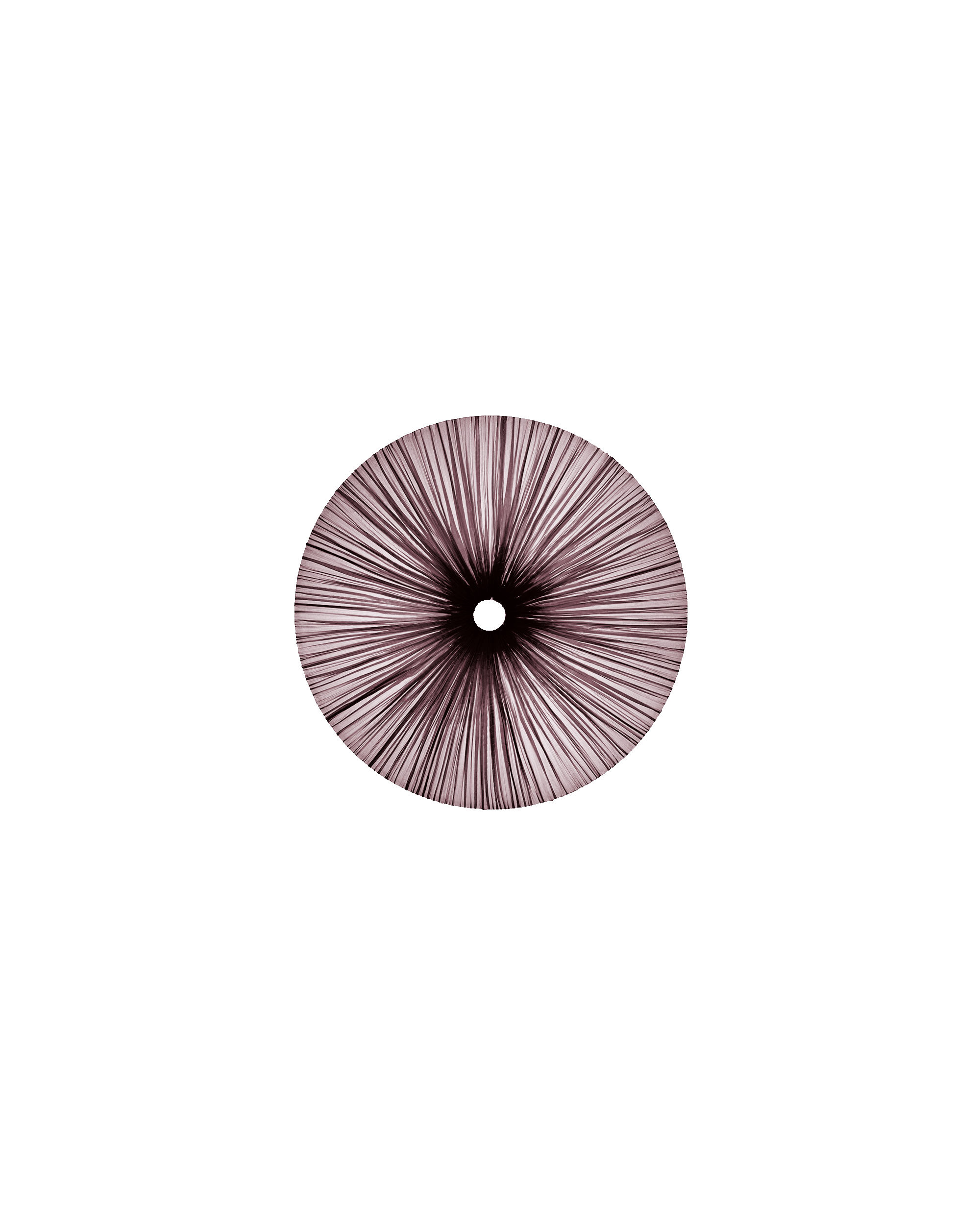 Stand By Wall & Ceiling Light