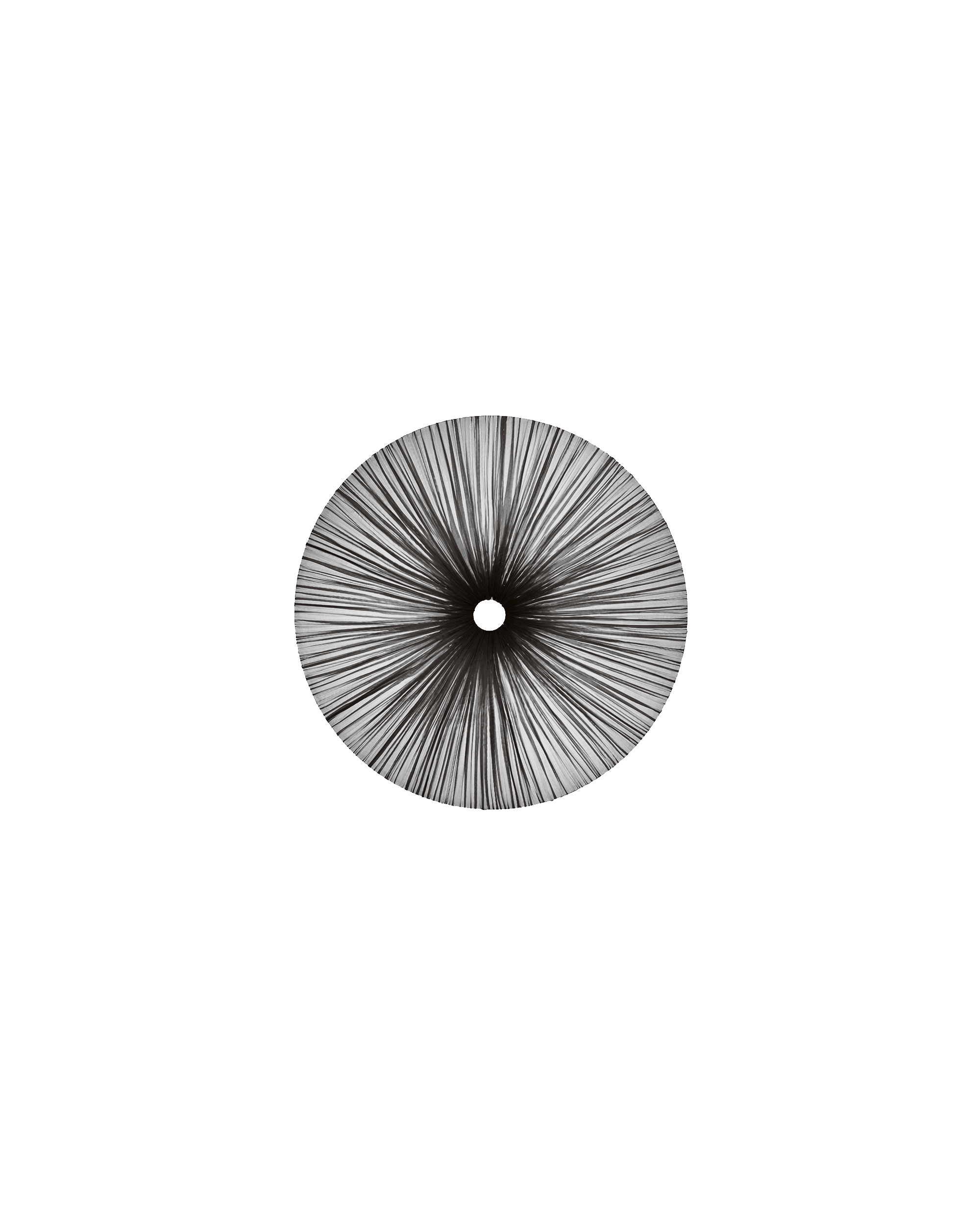 Stand By Wall & Ceiling Light