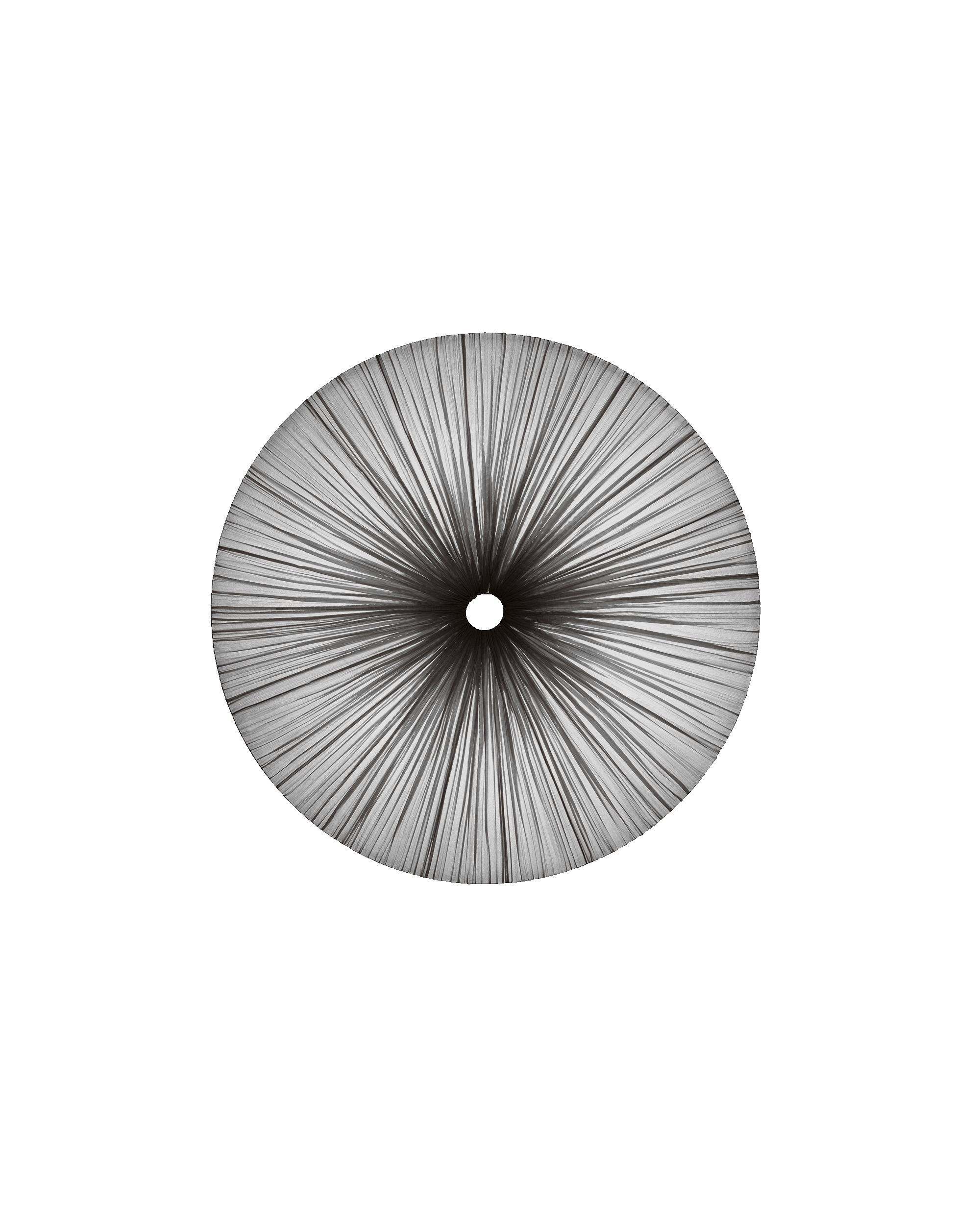 Stand By Wall & Ceiling Light