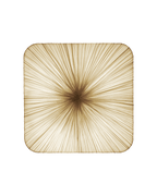 Young Wall & Ceiling Light