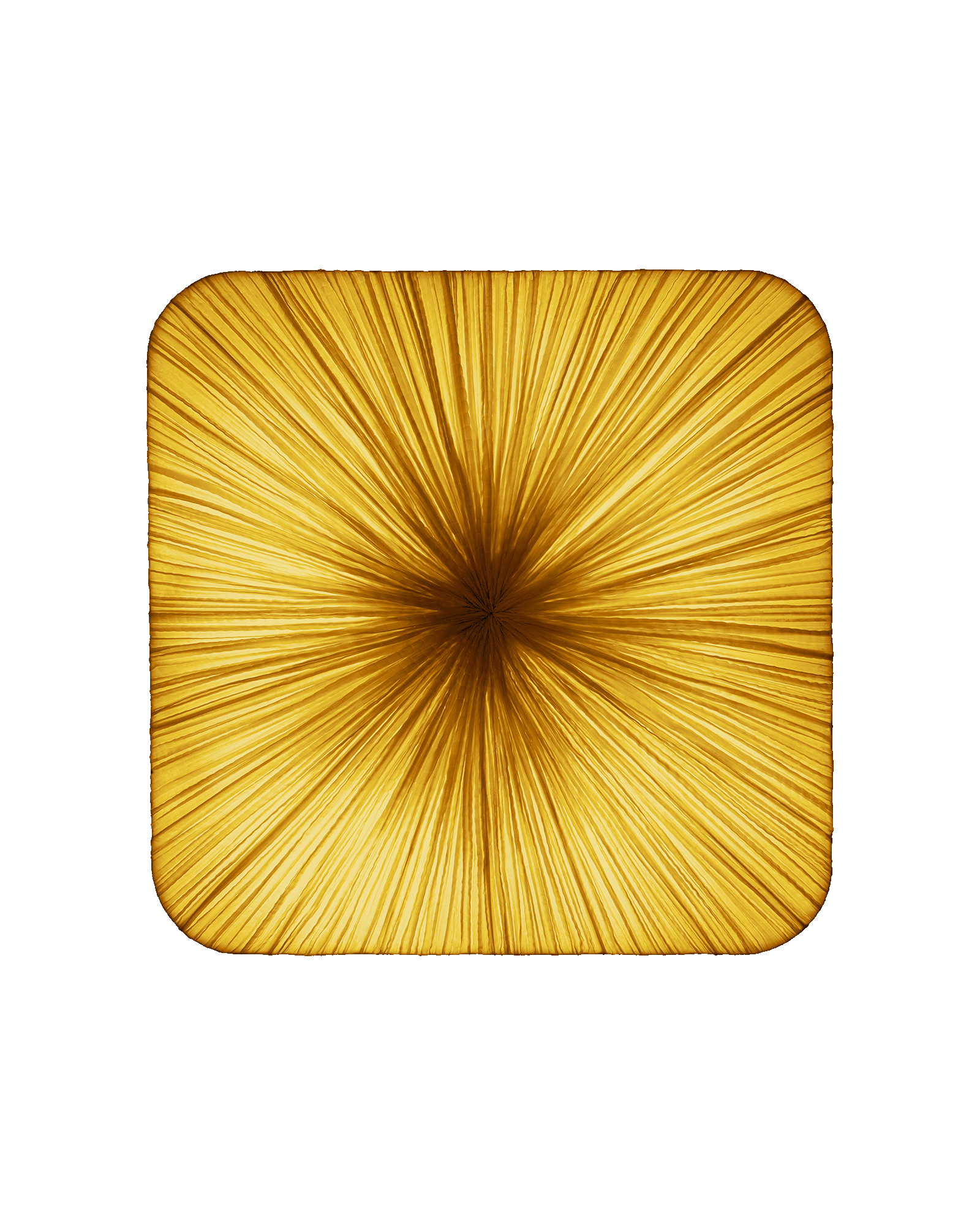 Young Wall & Ceiling Light