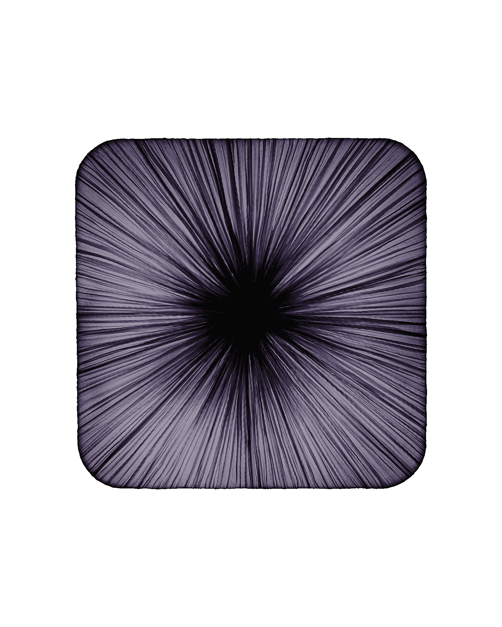 Young Wall & Ceiling Light