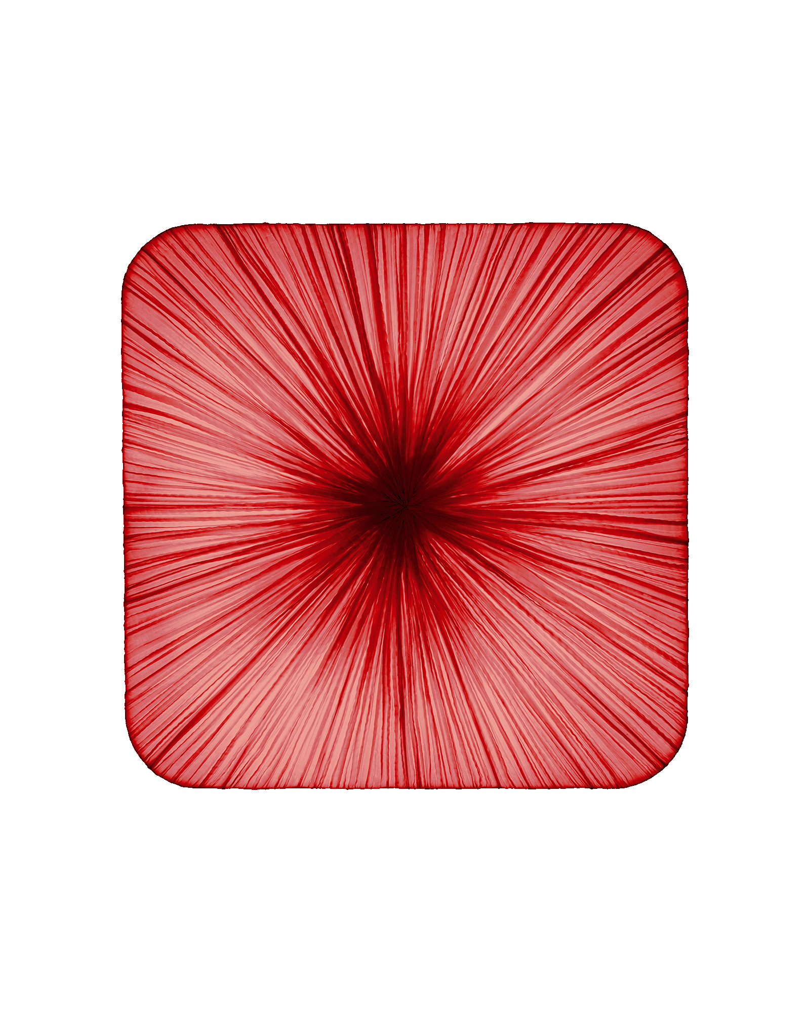 Young Wall & Ceiling Light