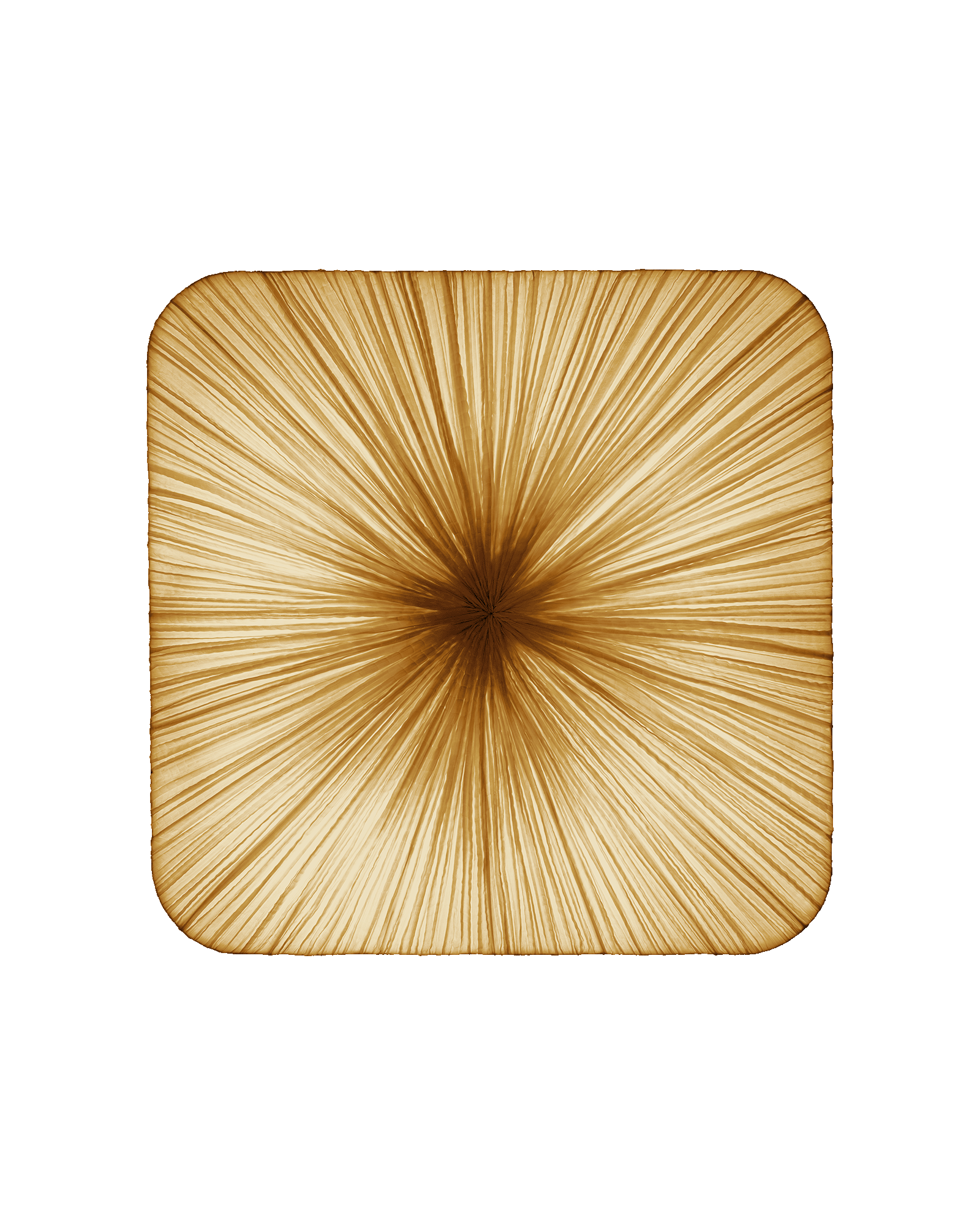 Young Wall & Ceiling Light