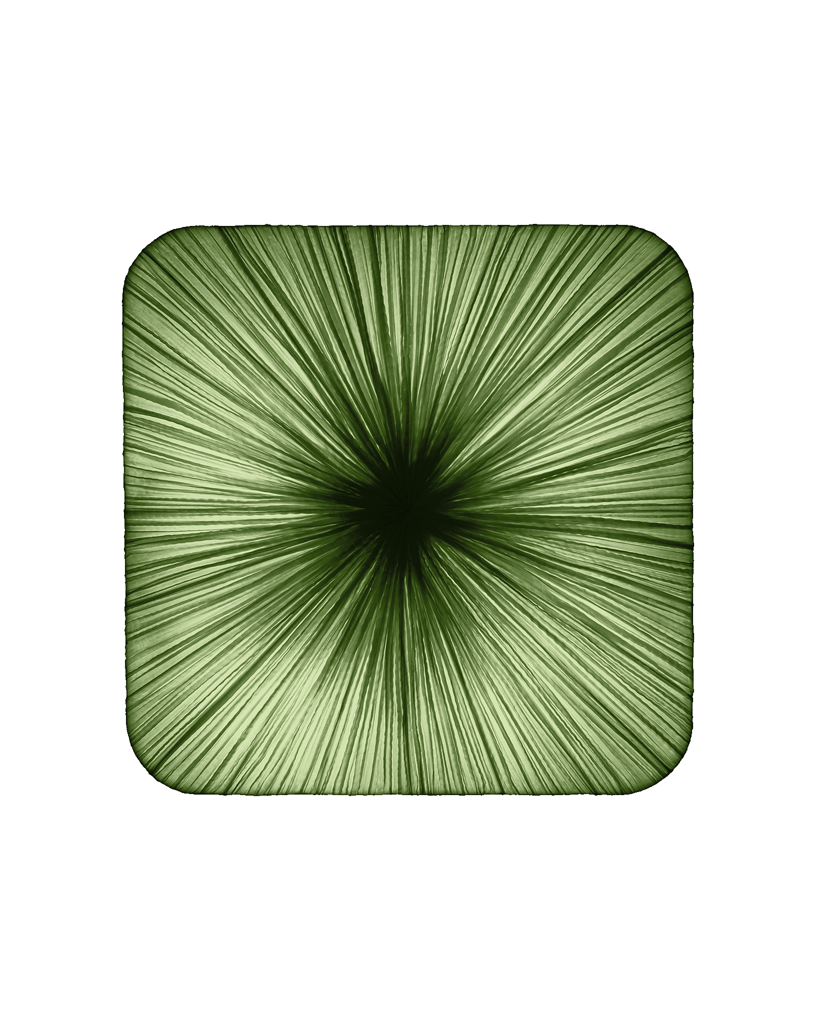 Young Wall & Ceiling Light