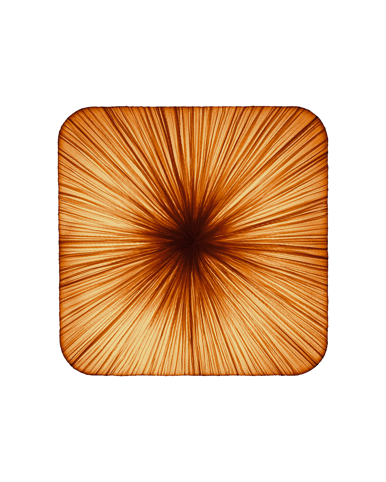 Young Wall & Ceiling Light