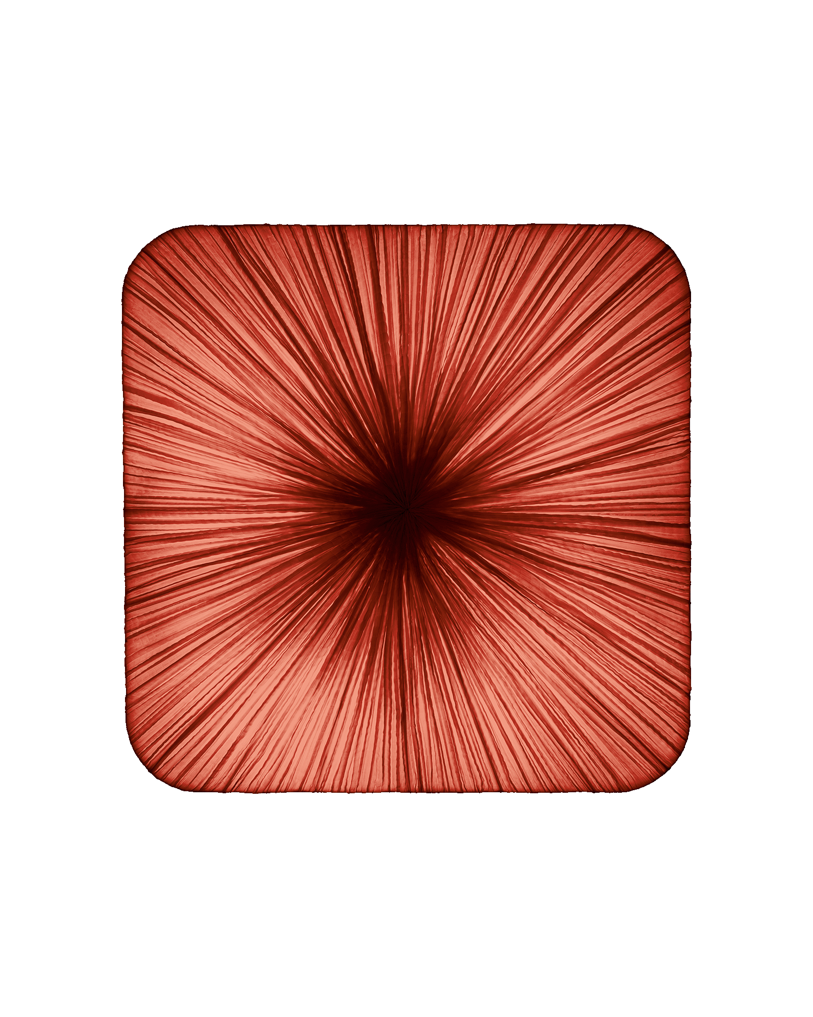 Young Wall & Ceiling Light