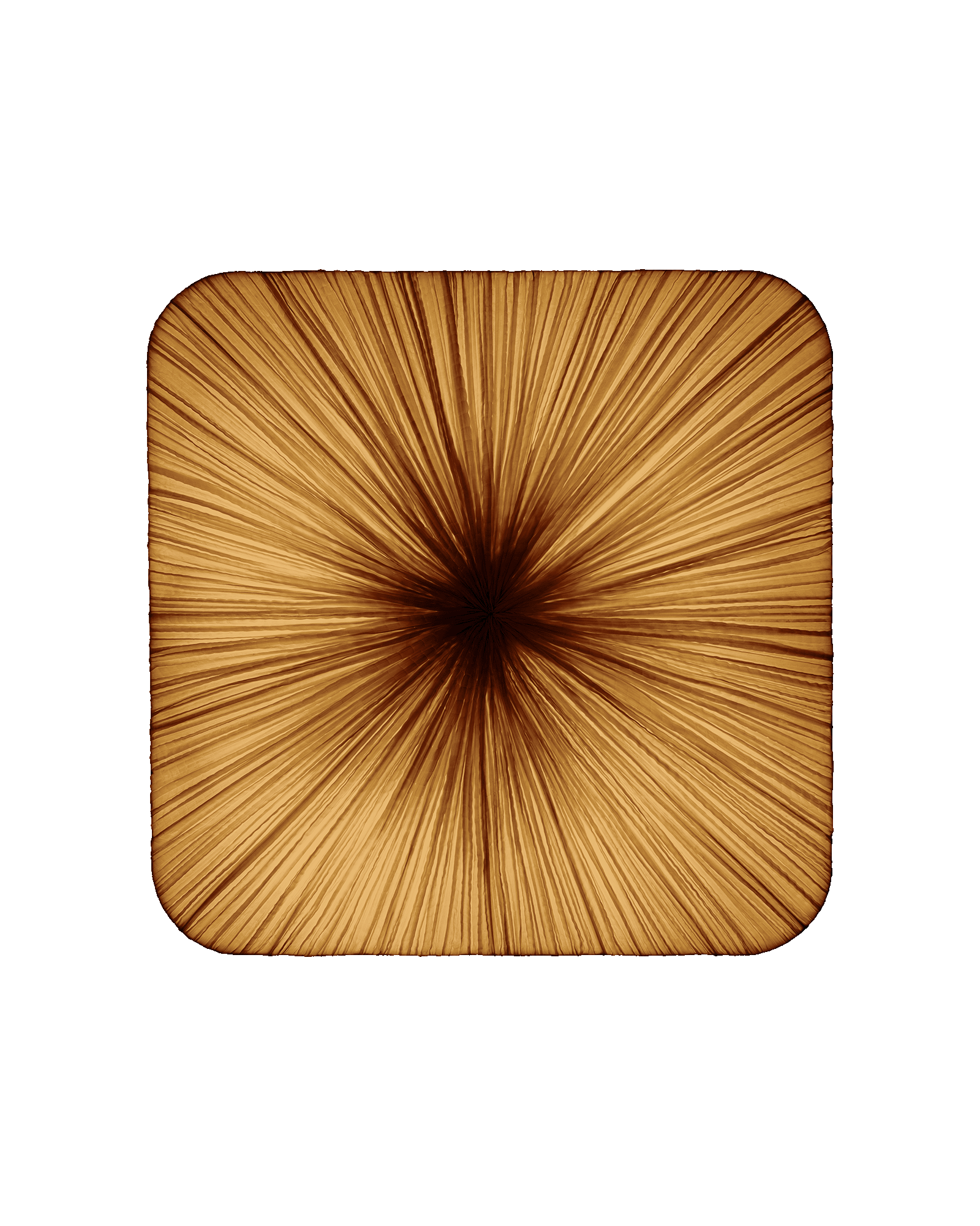 Young Wall & Ceiling Light