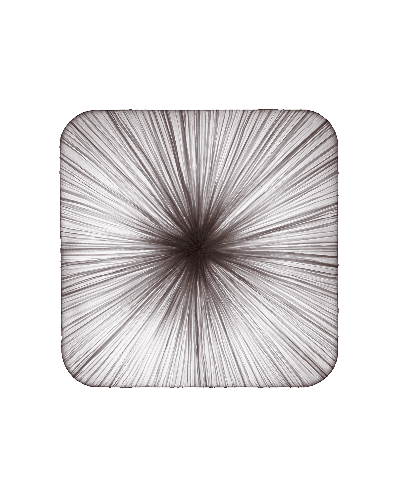 Young Wall & Ceiling Light