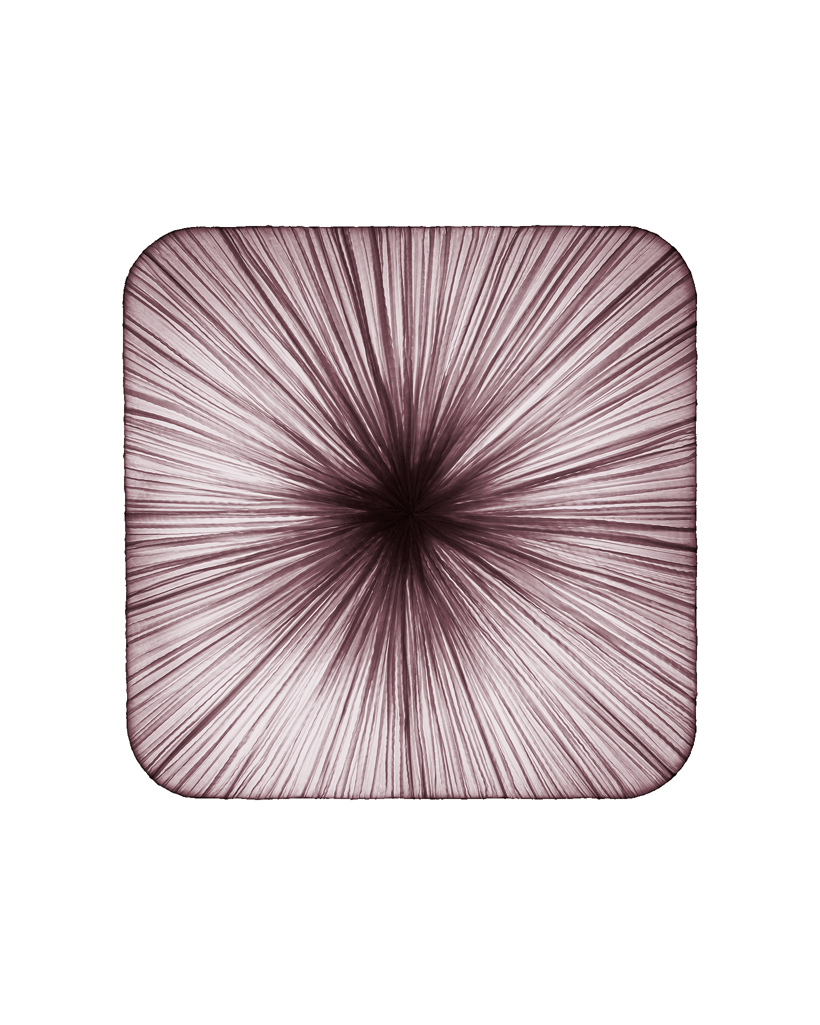 Young Wall & Ceiling Light