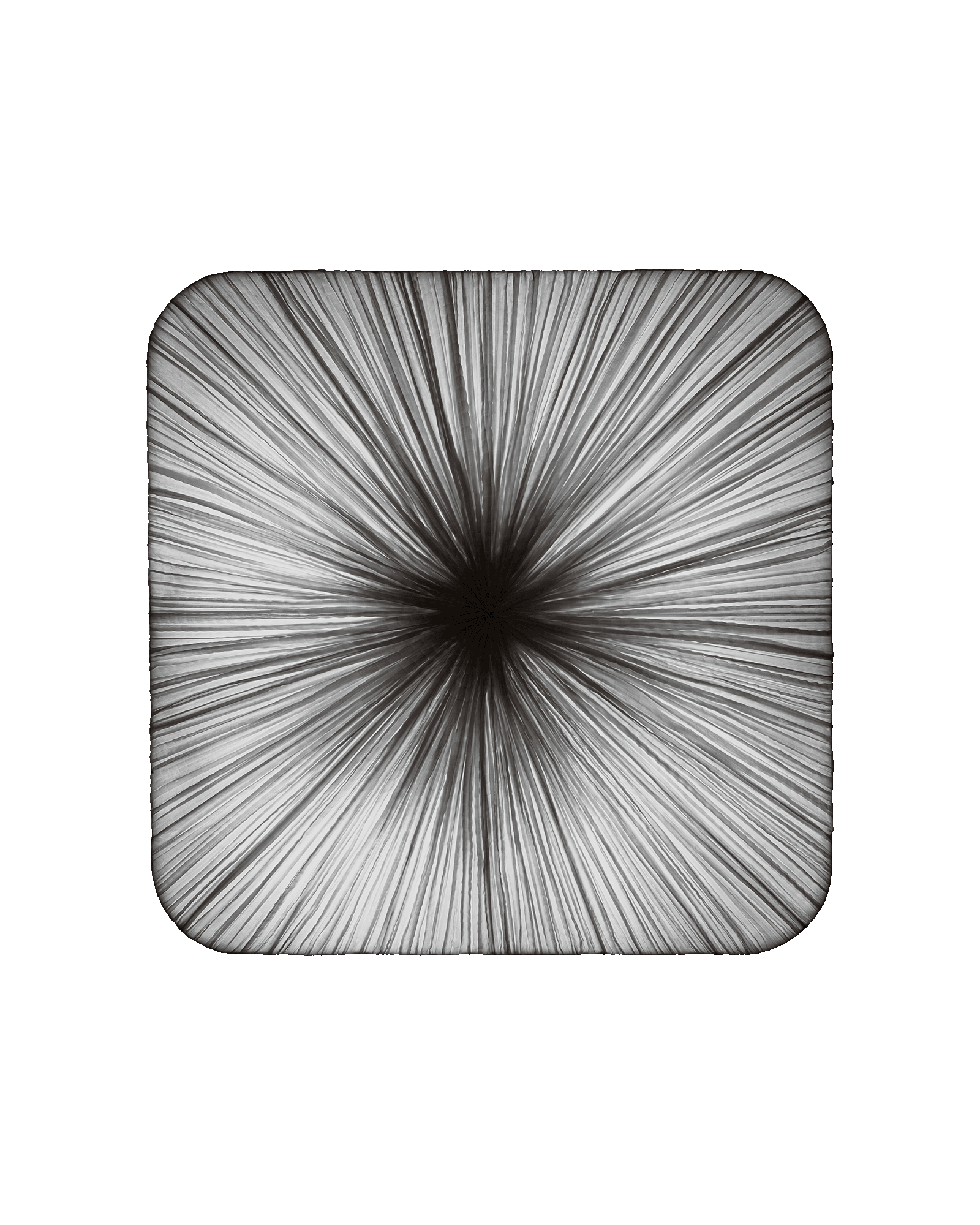 Young Wall & Ceiling Light