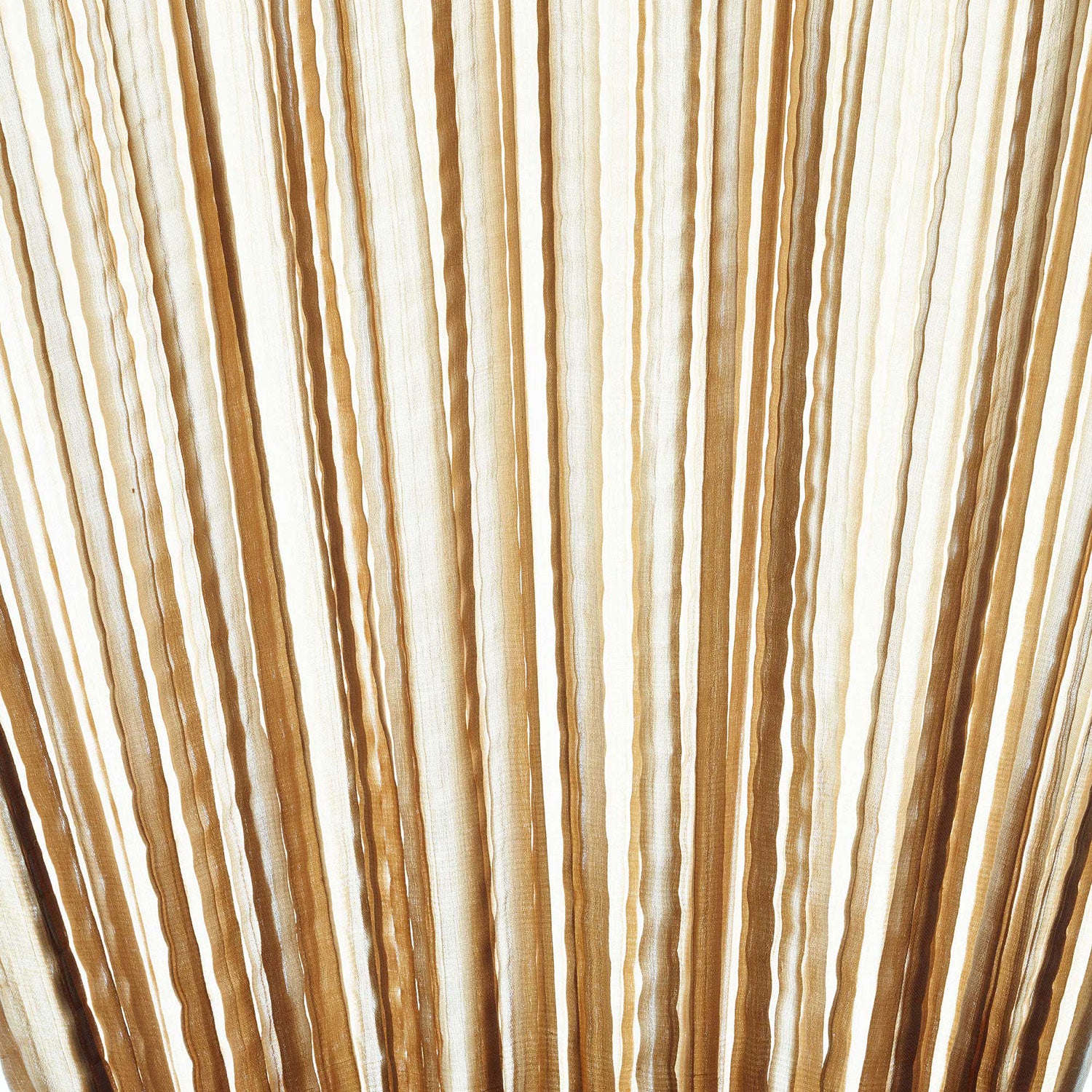 Shell Silk Color light switched on