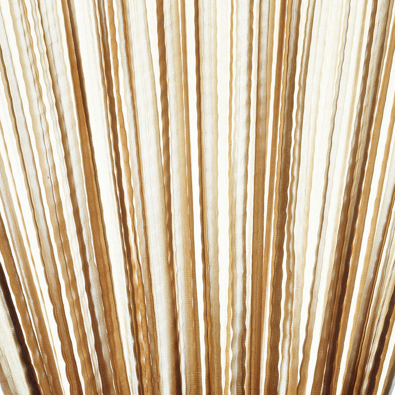 Shell with light switched on