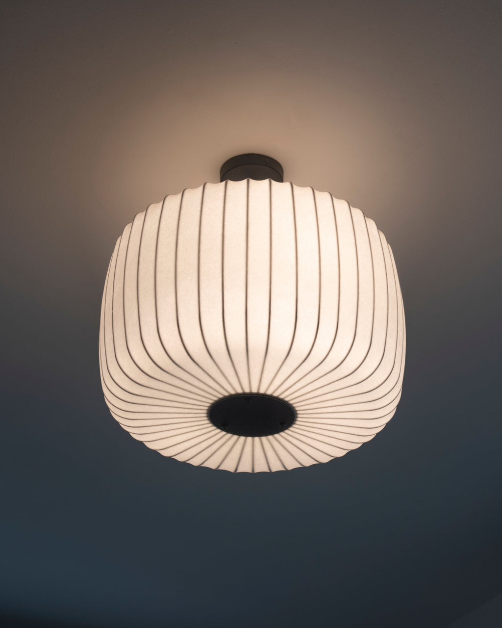 Te Pendant Light