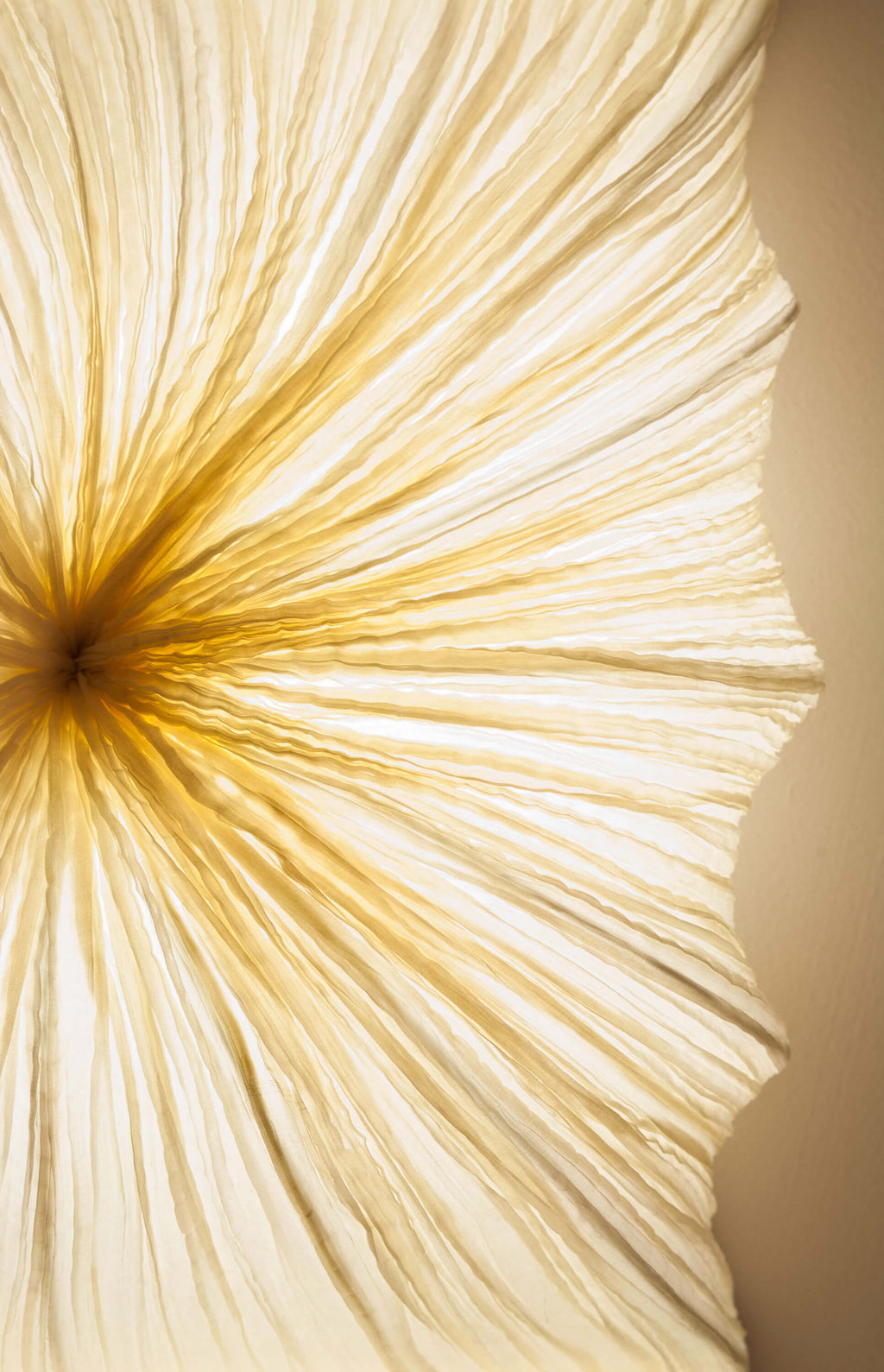 Zika Wall & Ceiling Light