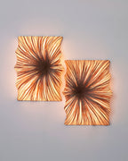 Zika Wall & Ceiling Light