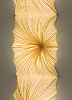 Zika Wall & Ceiling Light