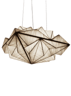 Zooid 1M Pendant Light