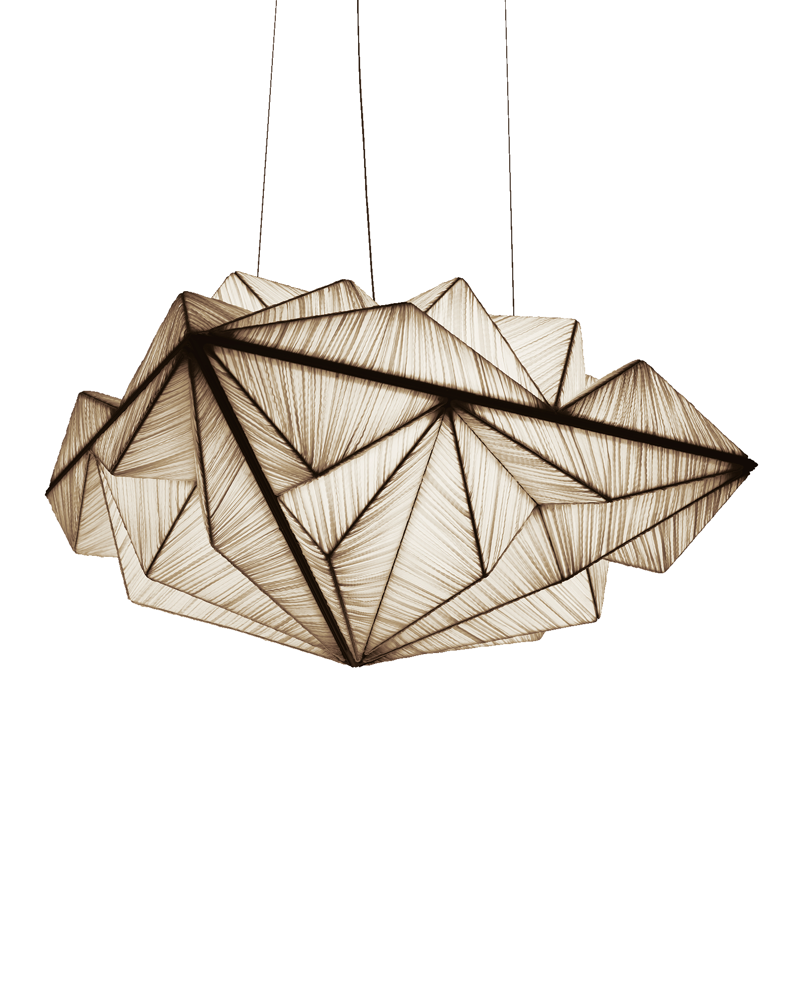 Zooid 1M Pendant Light