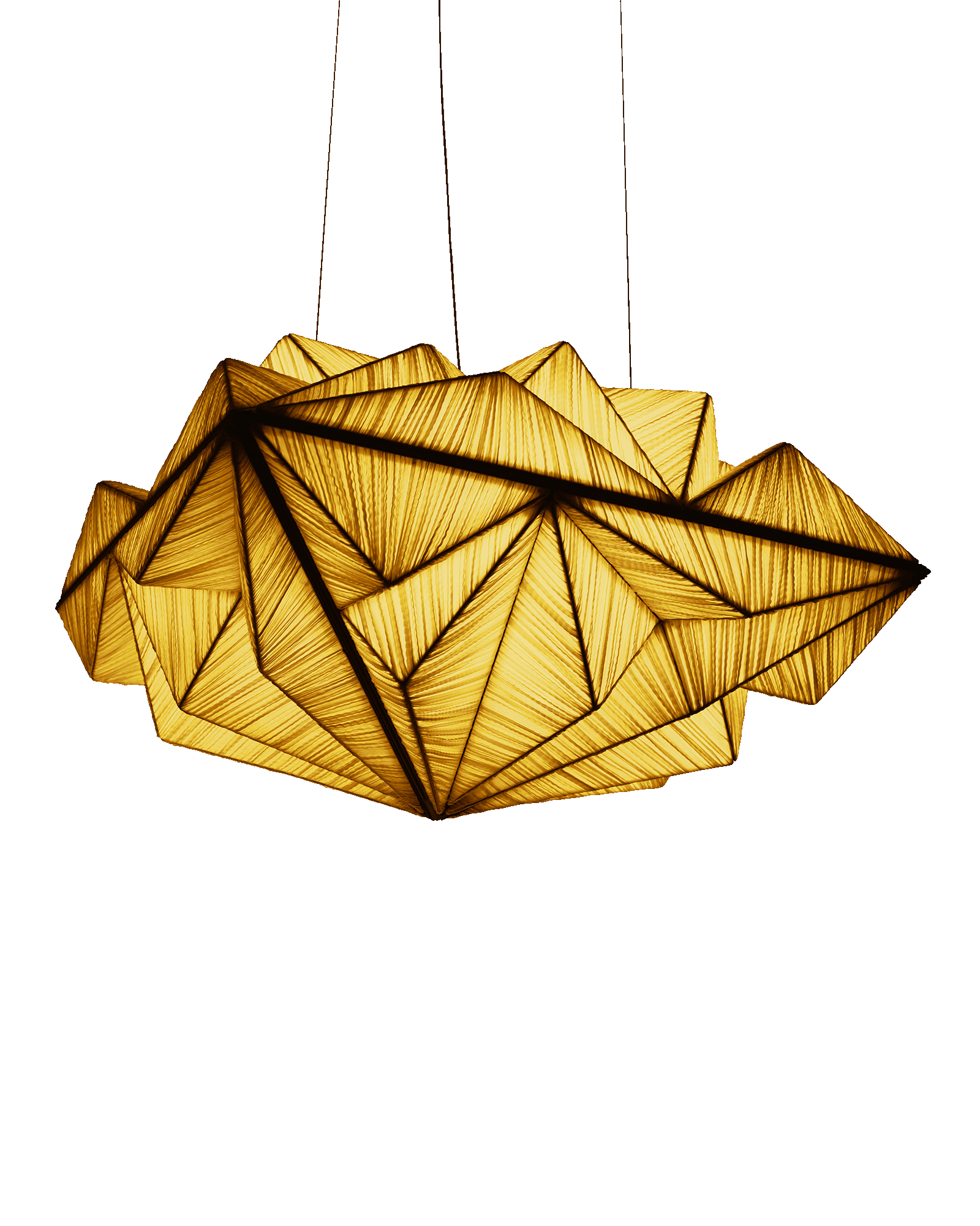 Zooid 1M Pendant Light | Aqua Creations