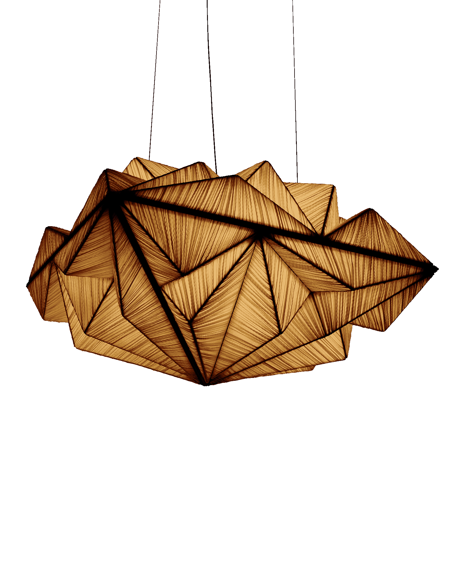 Zooid 1M Pendant Light
