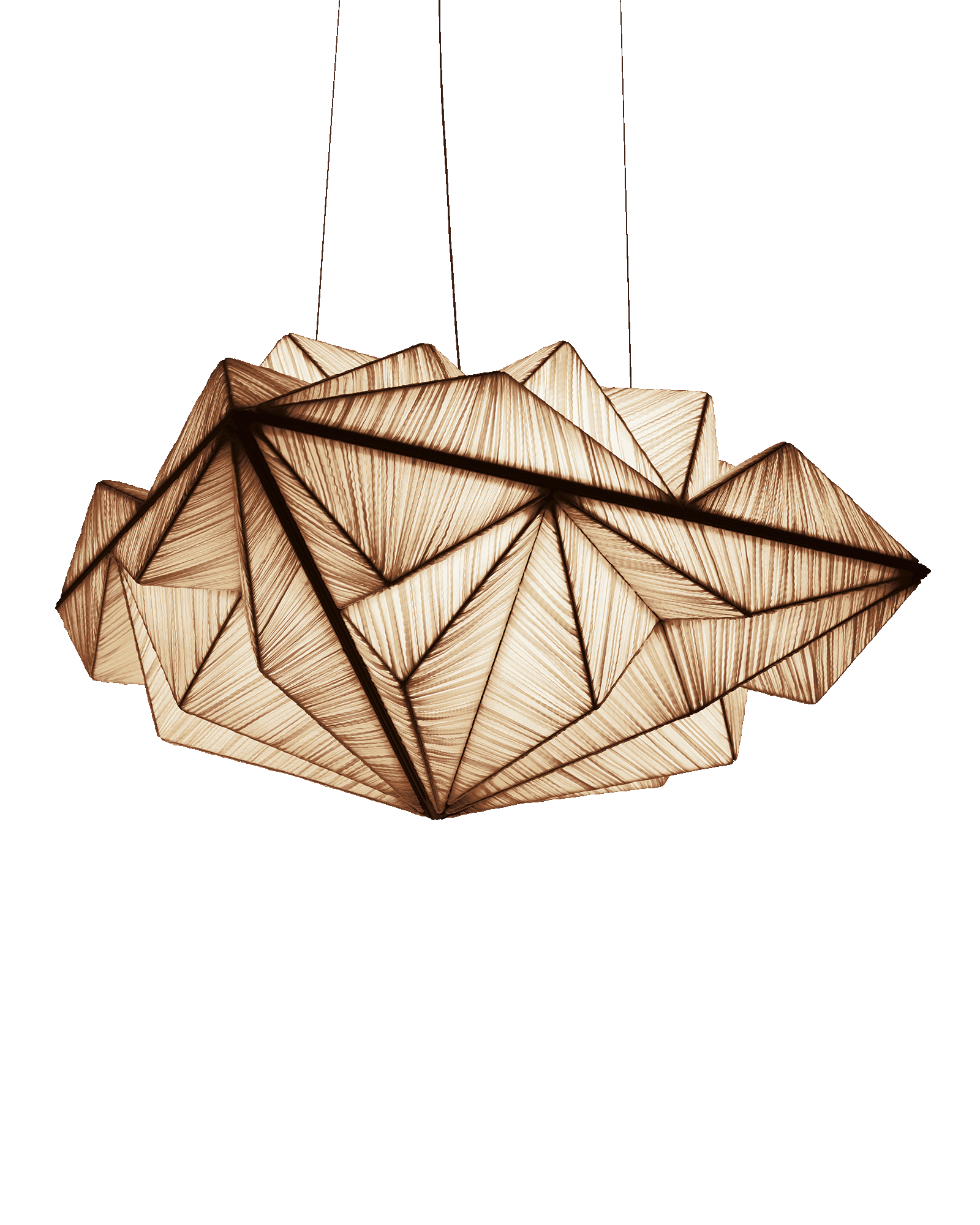 Zooid 1M Pendant Light