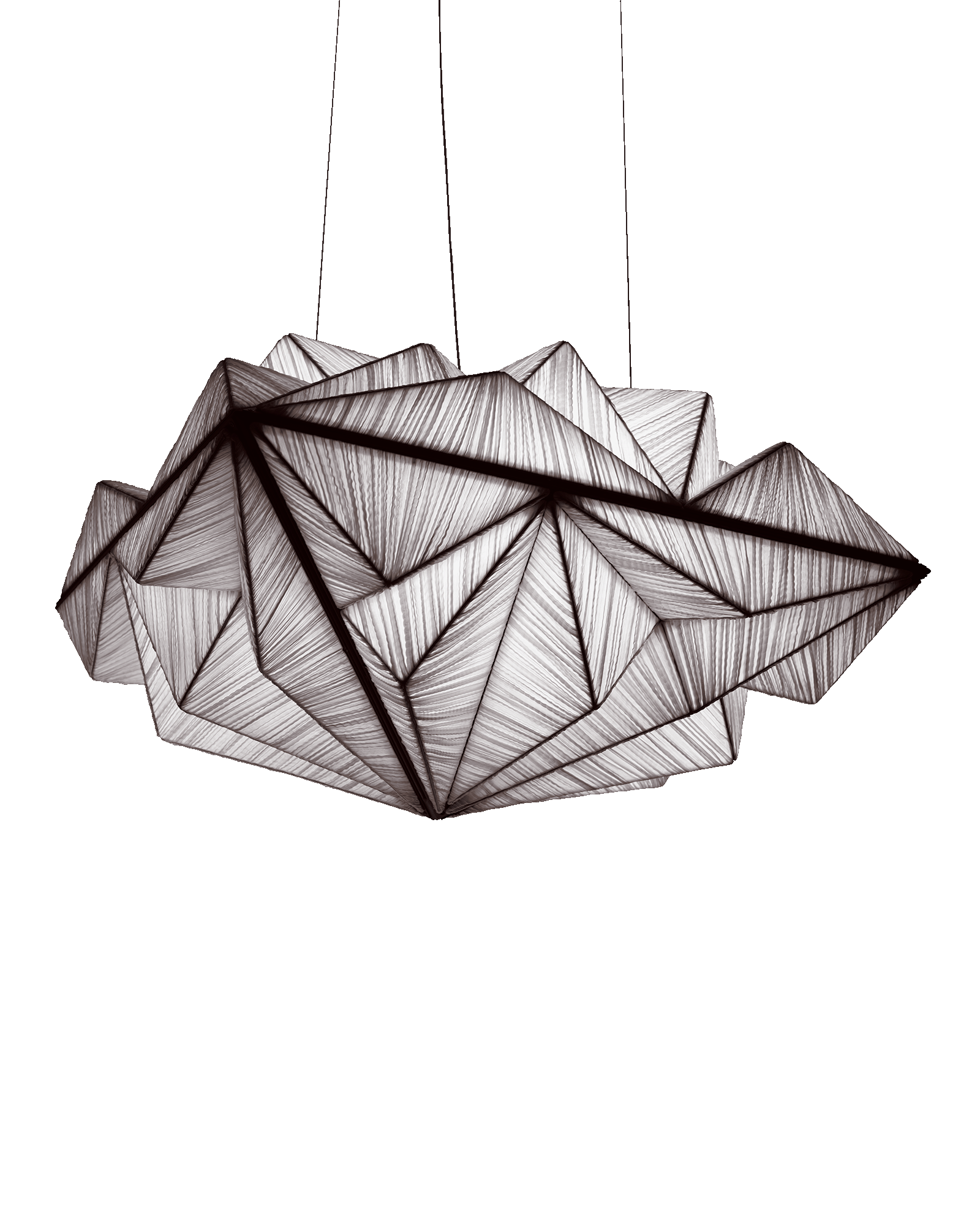 Zooid 1M Pendant Light