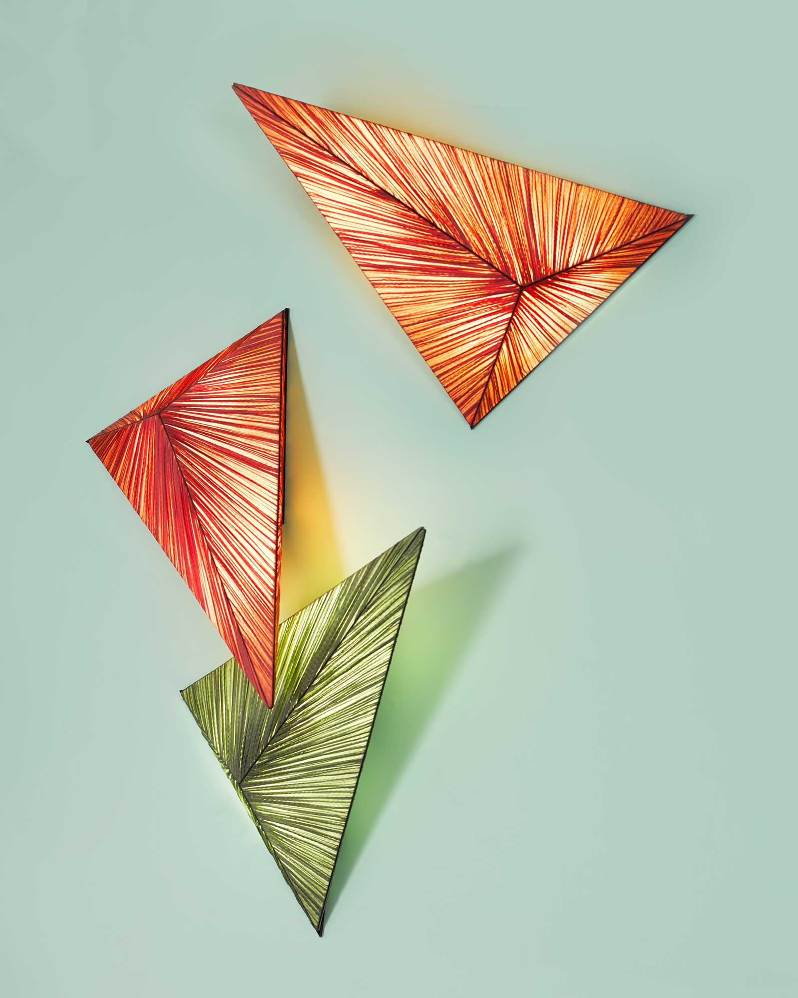 Zooid Wall & Ceiling Light